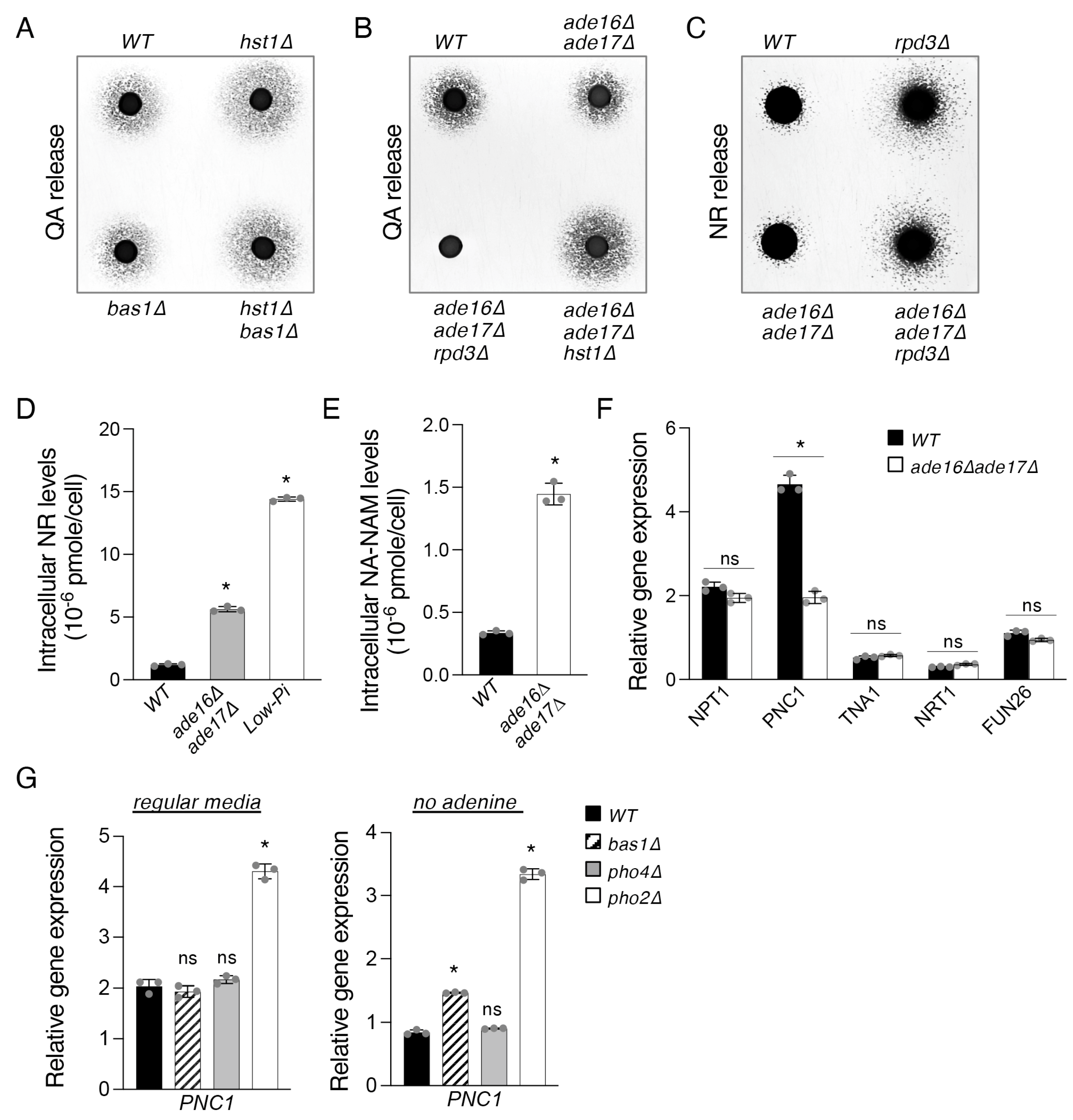 Ijms 24 08047 g003 Ijms 24 08047 g003