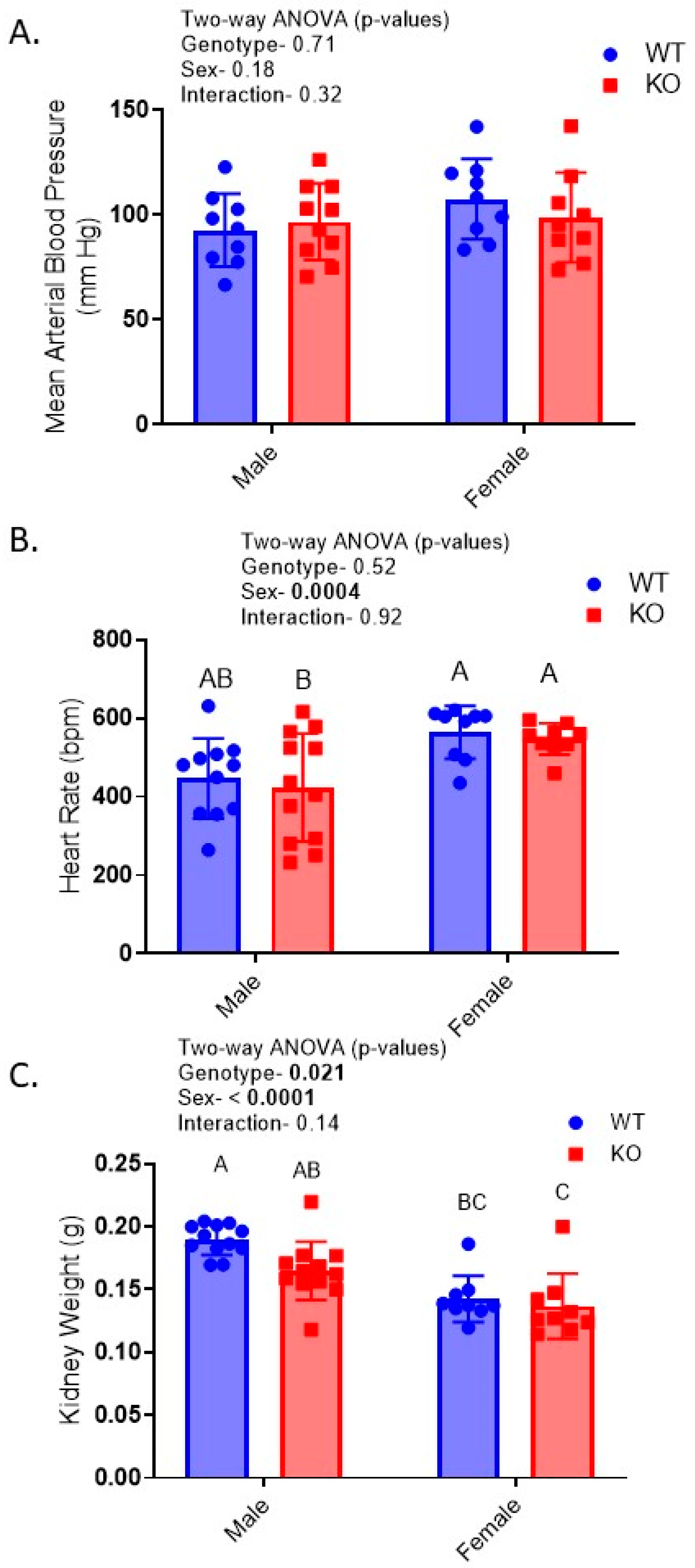 Ijms Free Full Text Sex Modulates Response To Renal Tubule Targeted