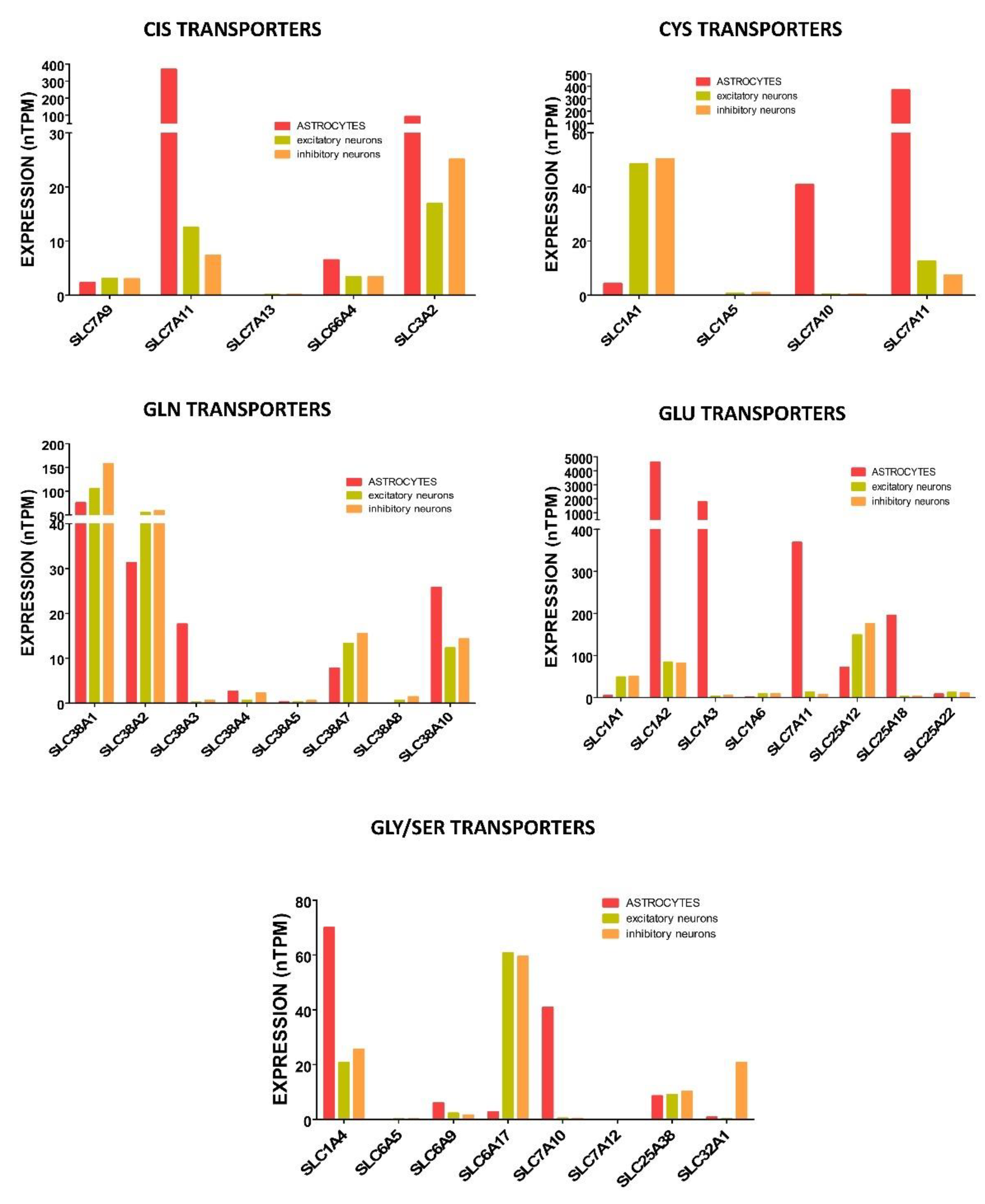 Ijms 24 08059 g004 Ijms 24 08059 g004