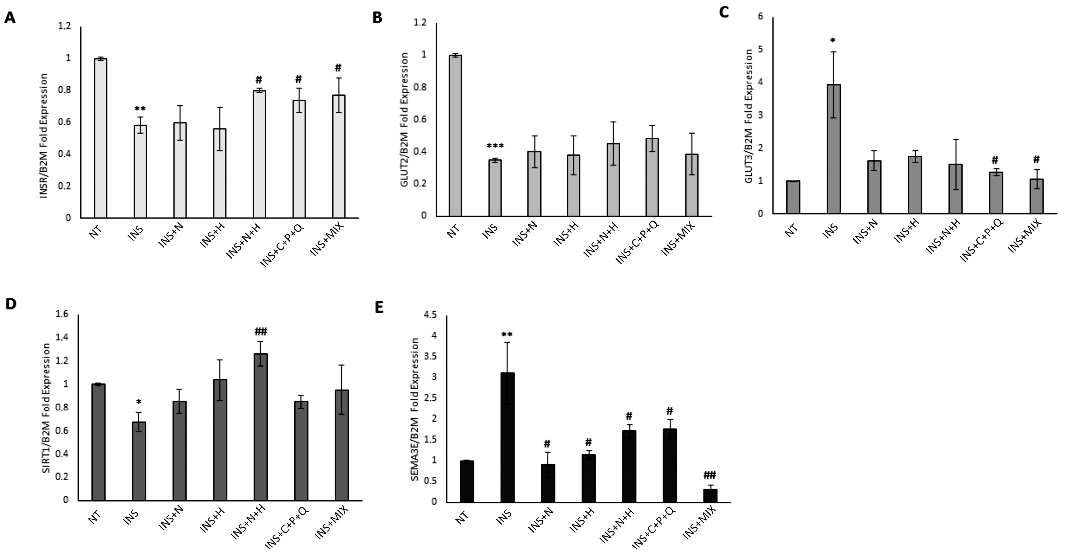 Ijms 24 08071 g002 Ijms 24 08071 g002