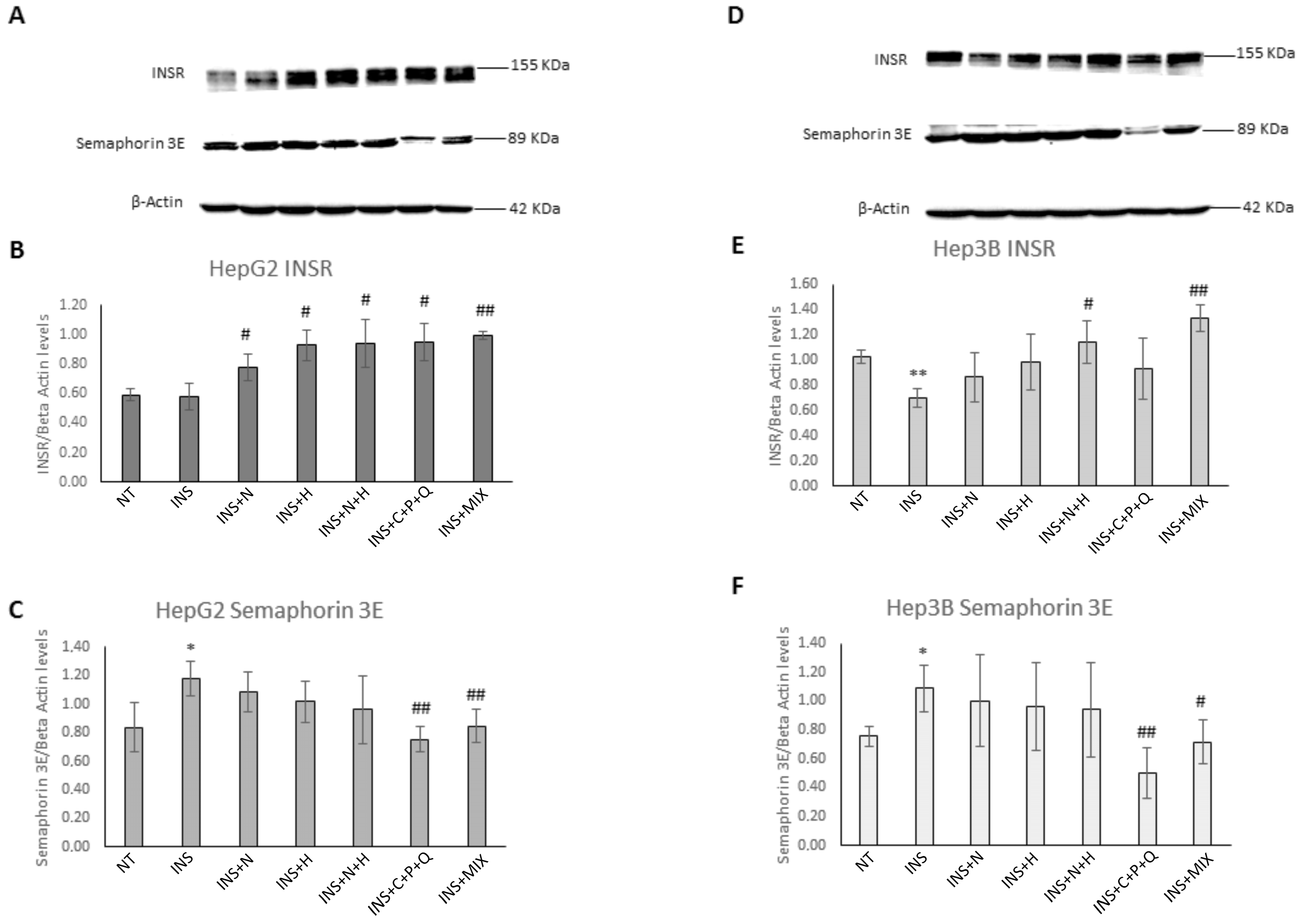 Ijms 24 08071 g004 Ijms 24 08071 g004