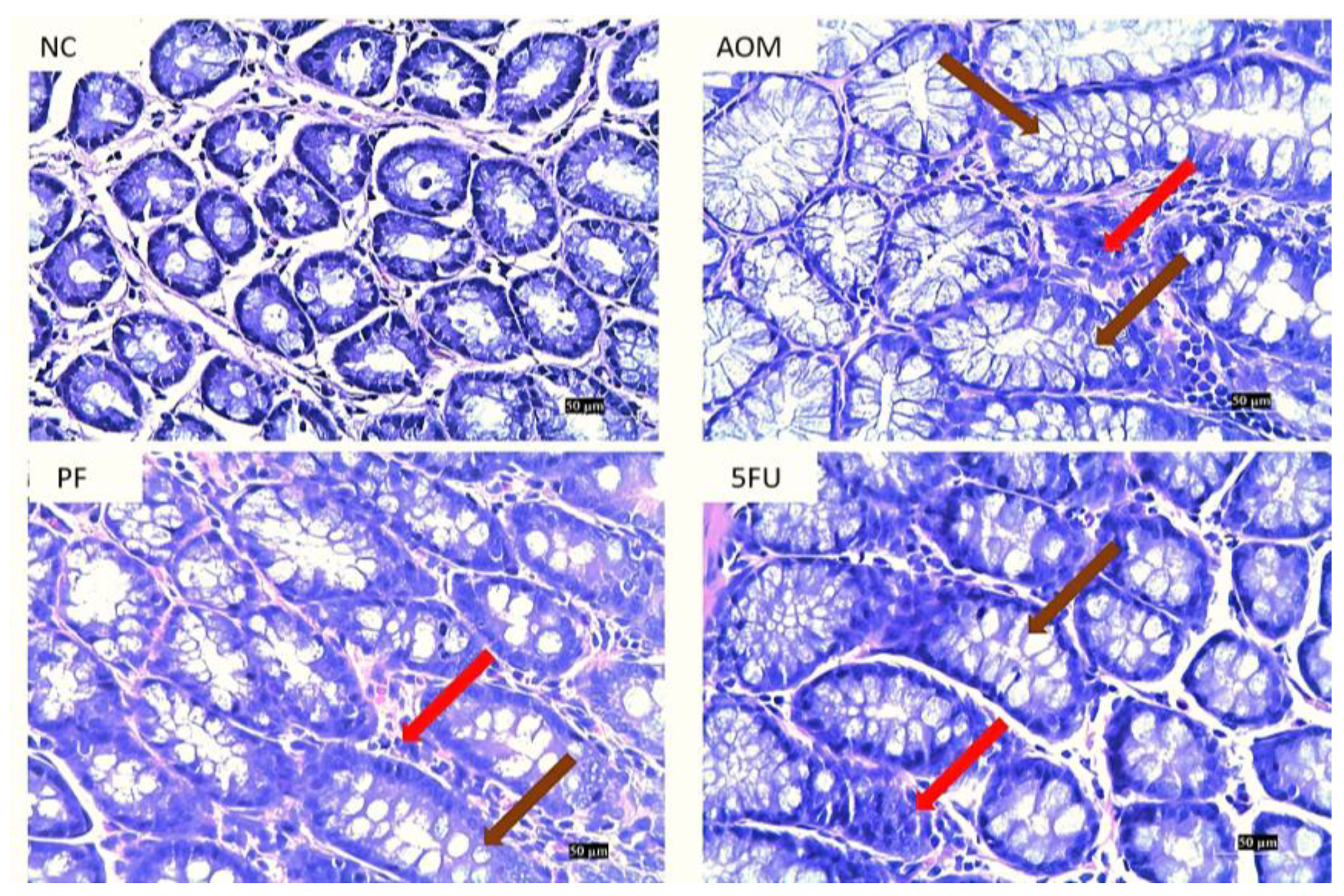 Ijms 24 08080 g004 Ijms 24 08080 g004