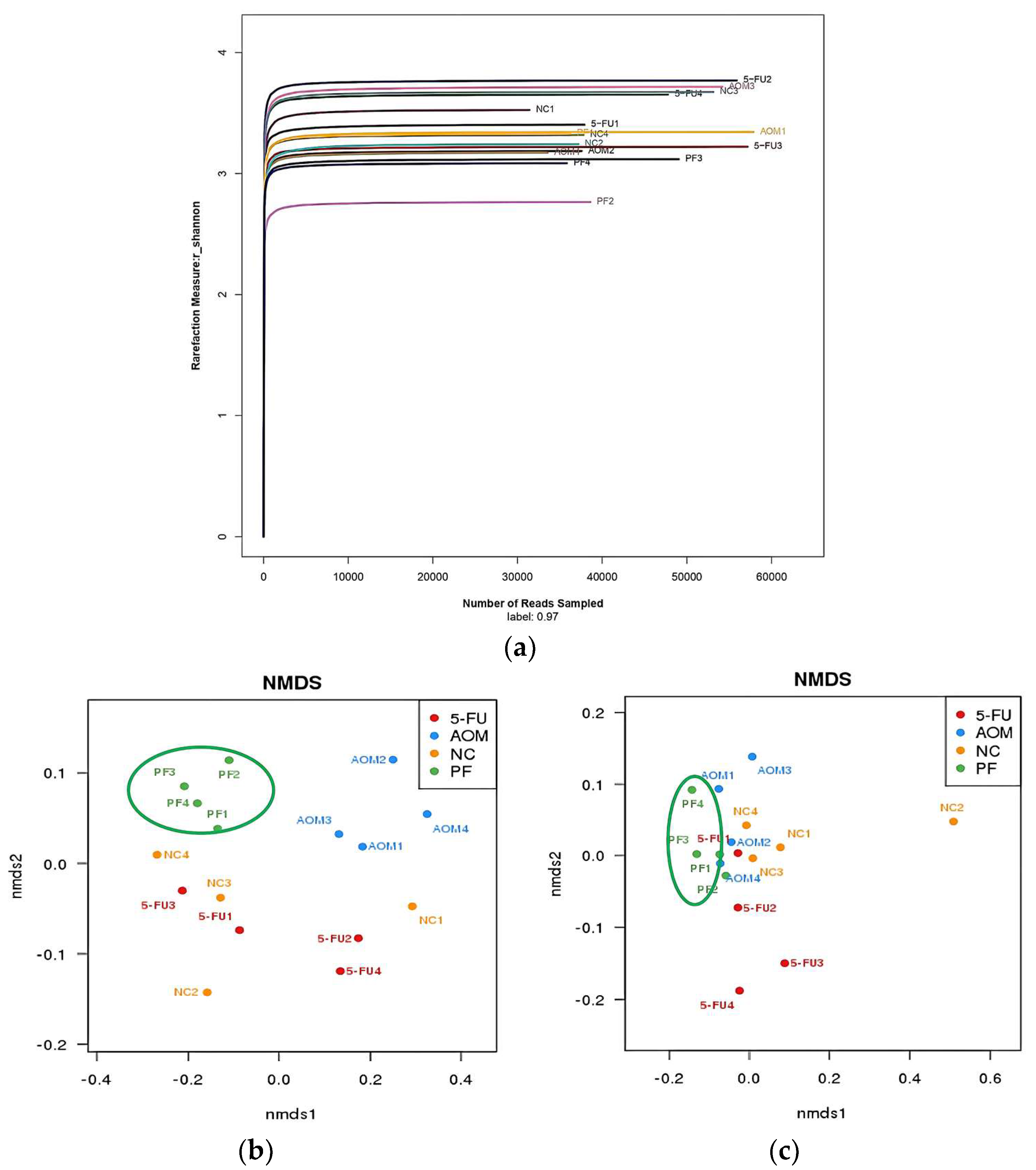 Ijms 24 08080 g008 Ijms 24 08080 g008