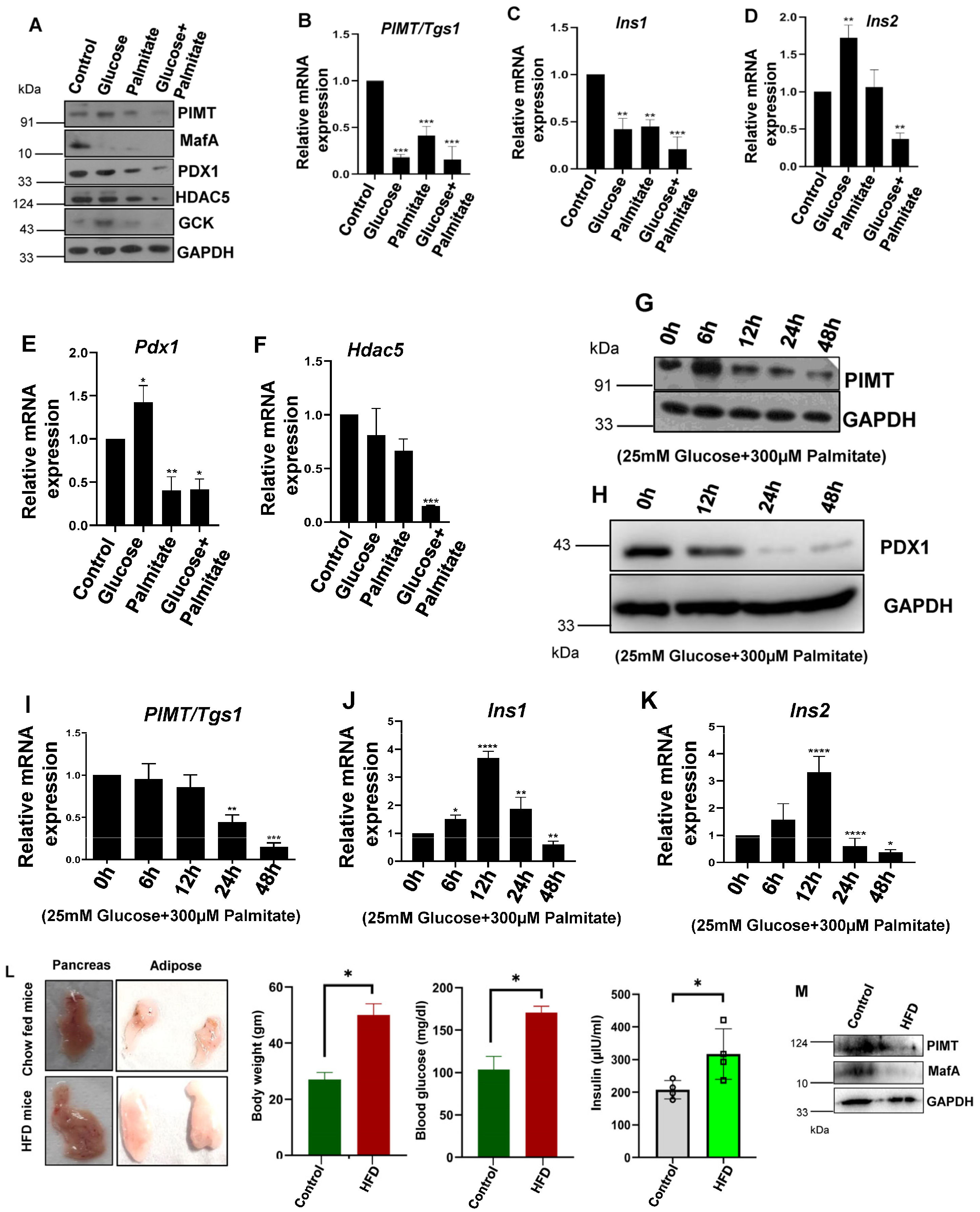Ijms 24 08084 g001 Ijms 24 08084 g001