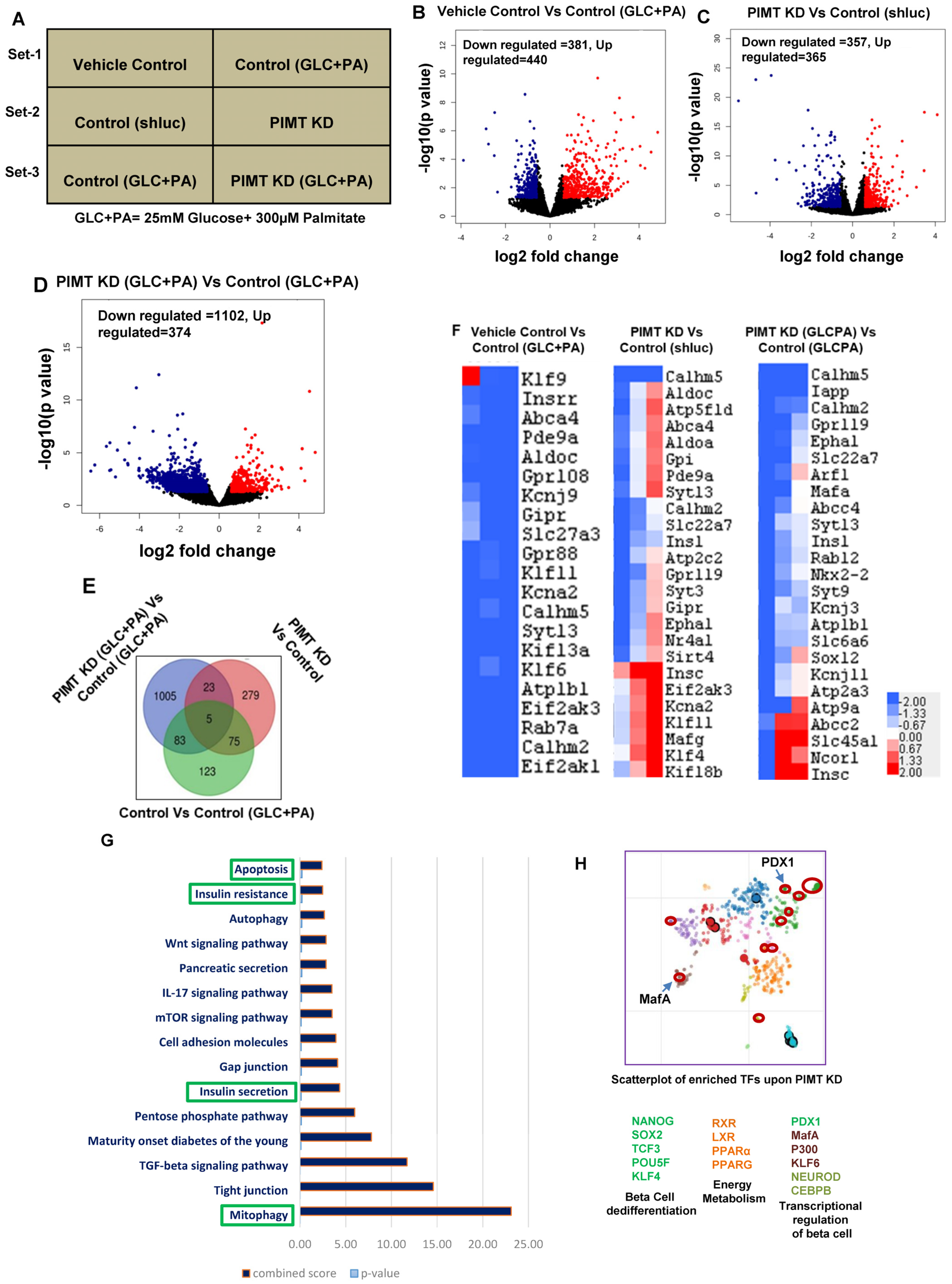 Ijms 24 08084 g002 Ijms 24 08084 g002