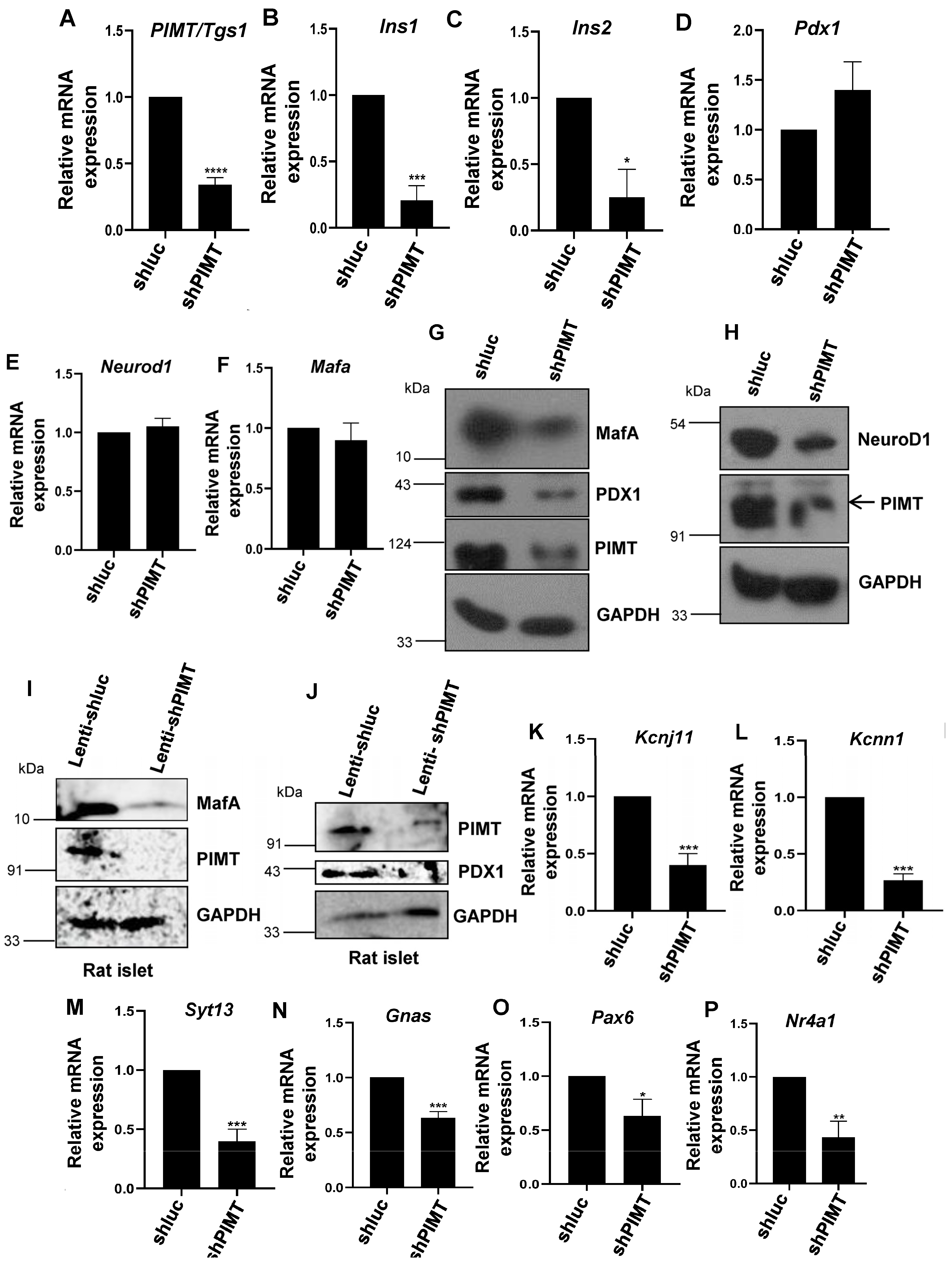 Ijms 24 08084 g003a Ijms 24 08084 g003a