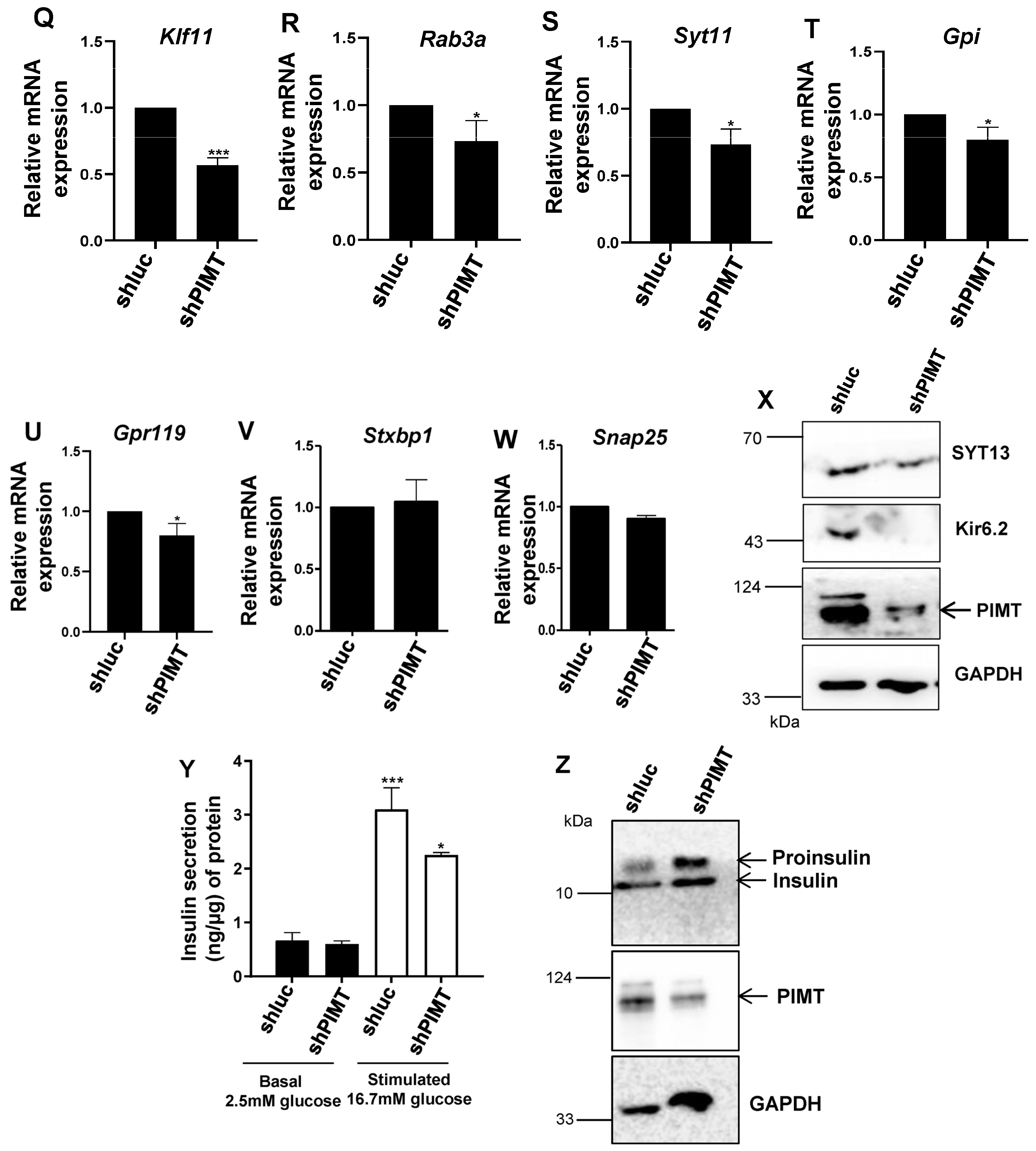 Ijms 24 08084 g003b Ijms 24 08084 g003b