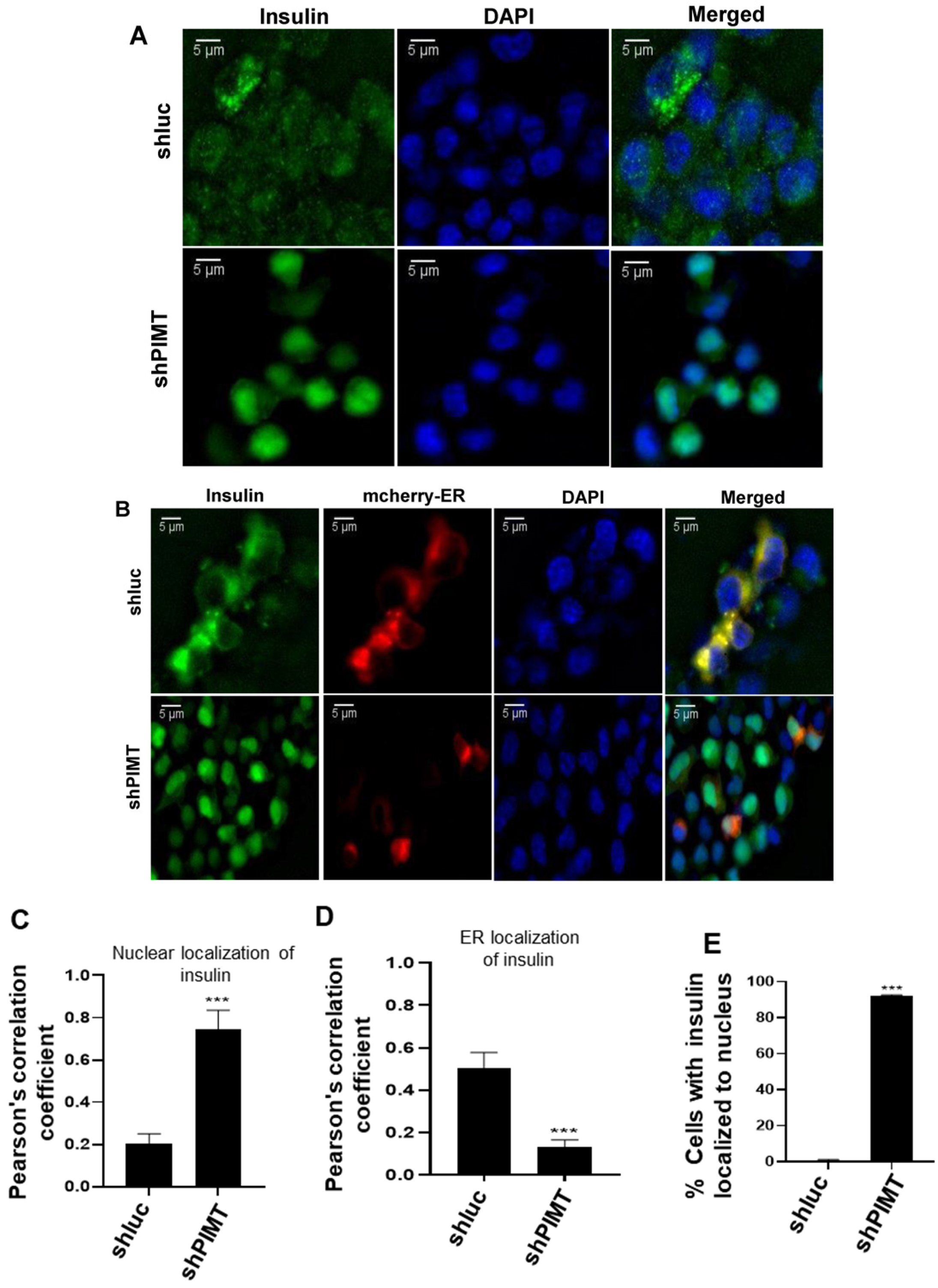 Ijms 24 08084 g005a Ijms 24 08084 g005a