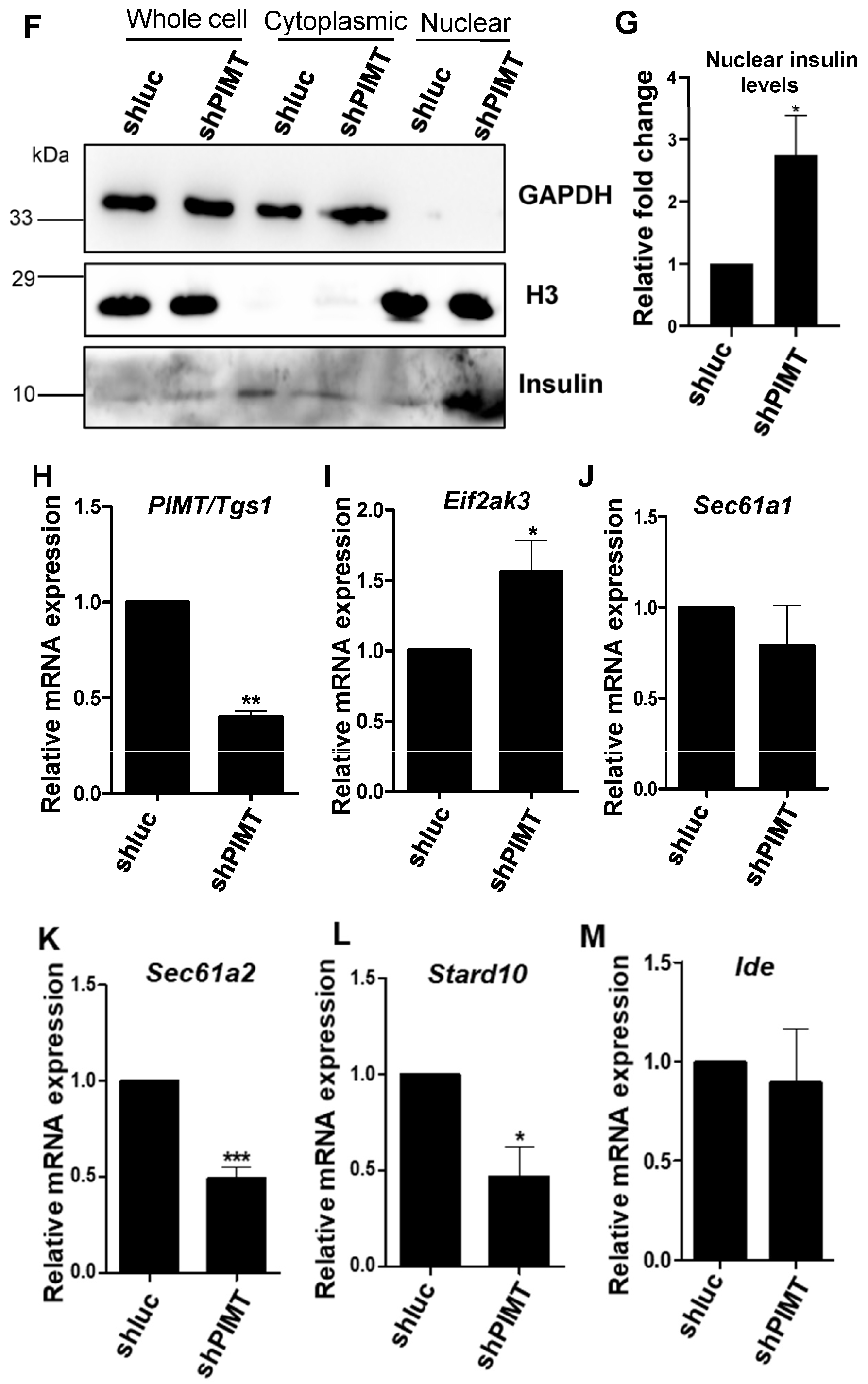 Ijms 24 08084 g005b Ijms 24 08084 g005b