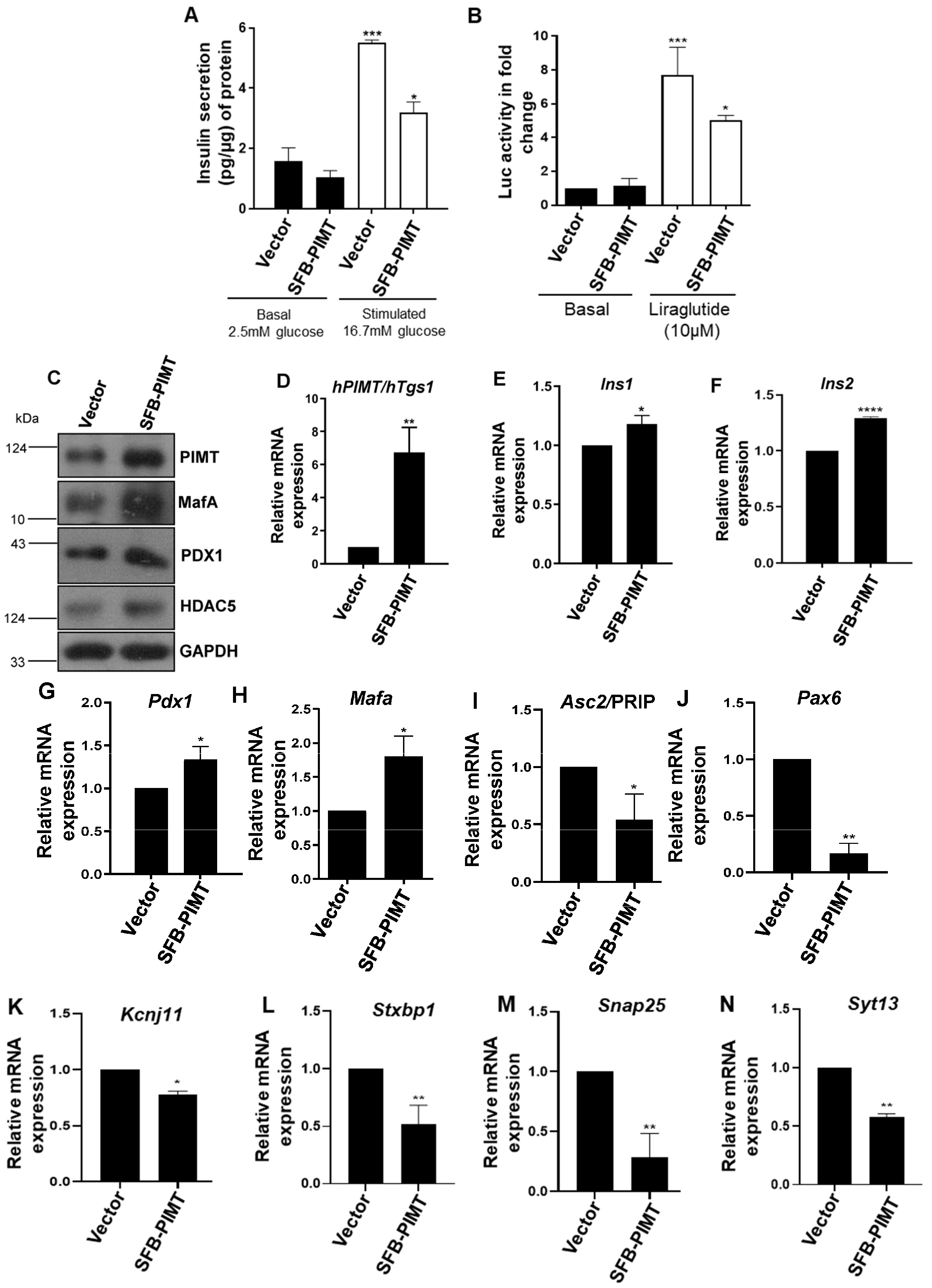 Ijms 24 08084 g006a Ijms 24 08084 g006a