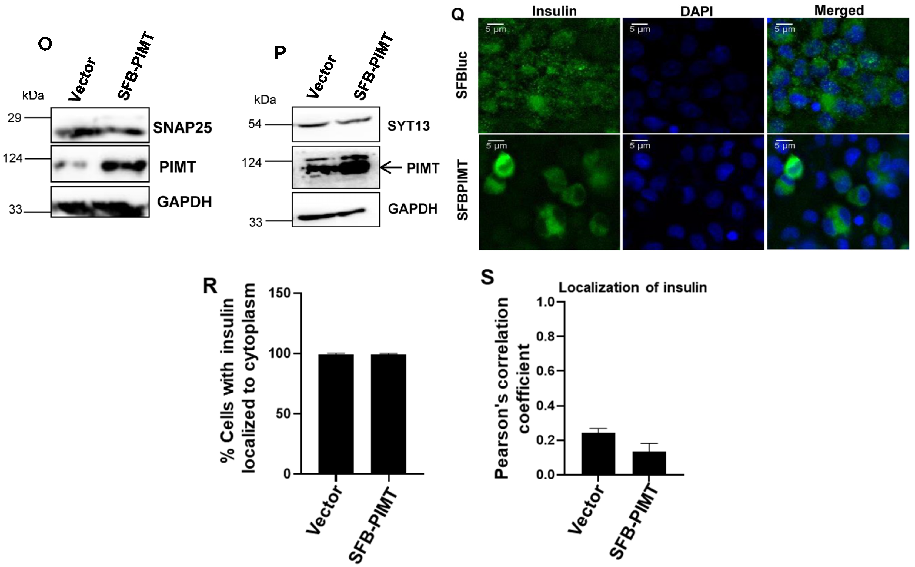 Ijms 24 08084 g006b Ijms 24 08084 g006b