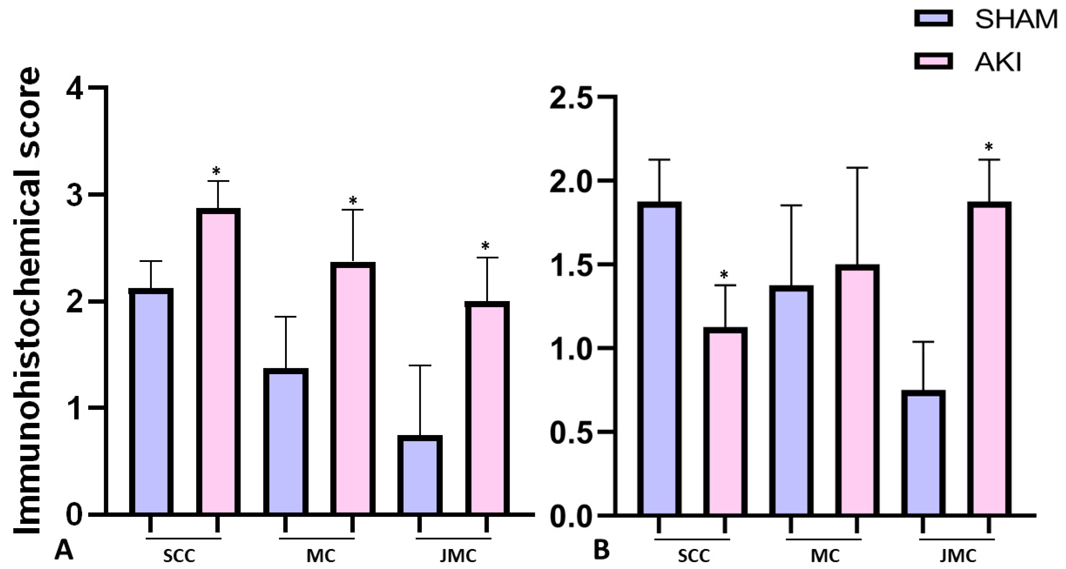 Ijms 24 08085 g006 Ijms 24 08085 g006