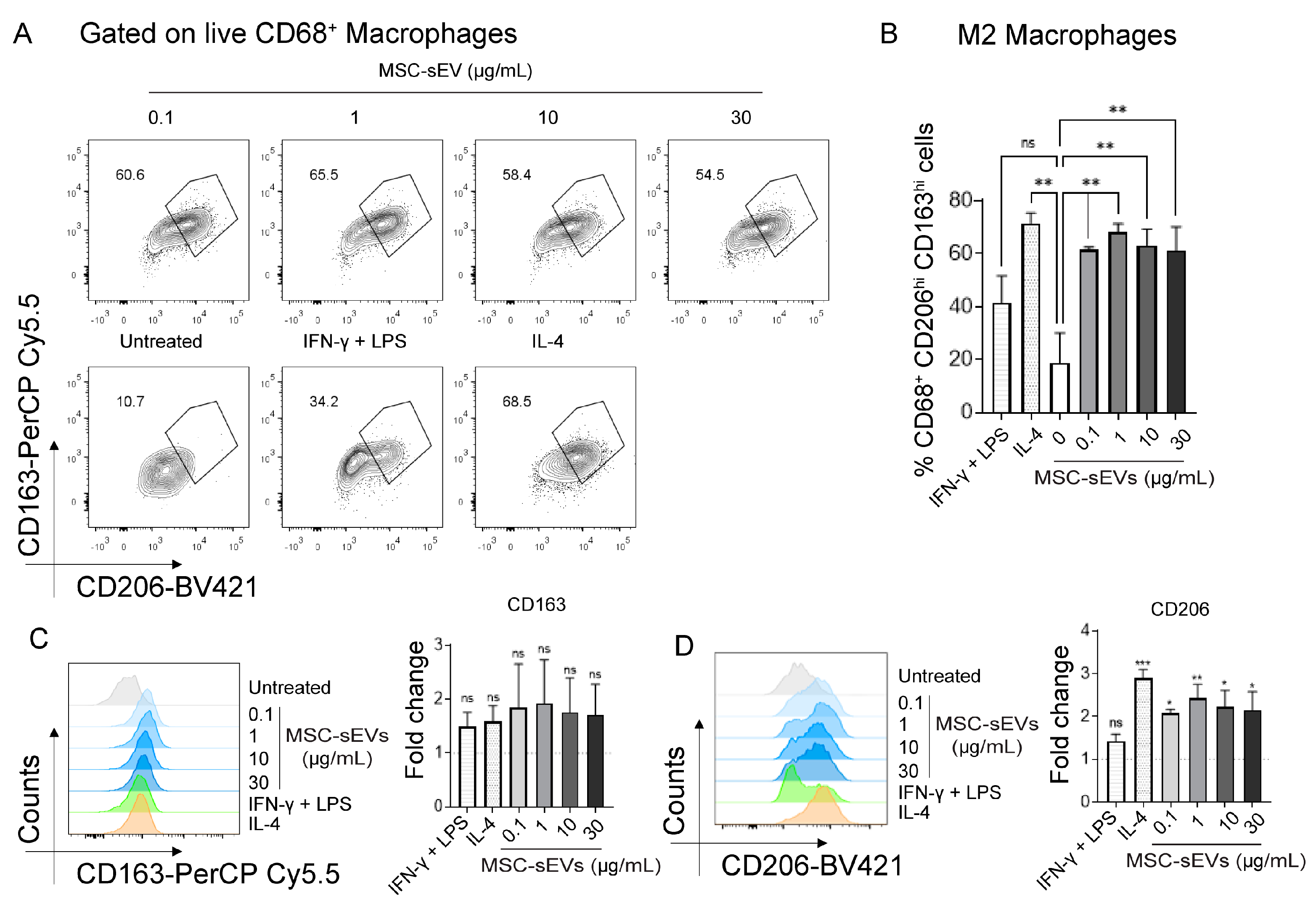 IJMS | Free Full-Text | MSC−sEV Treatment Polarizes