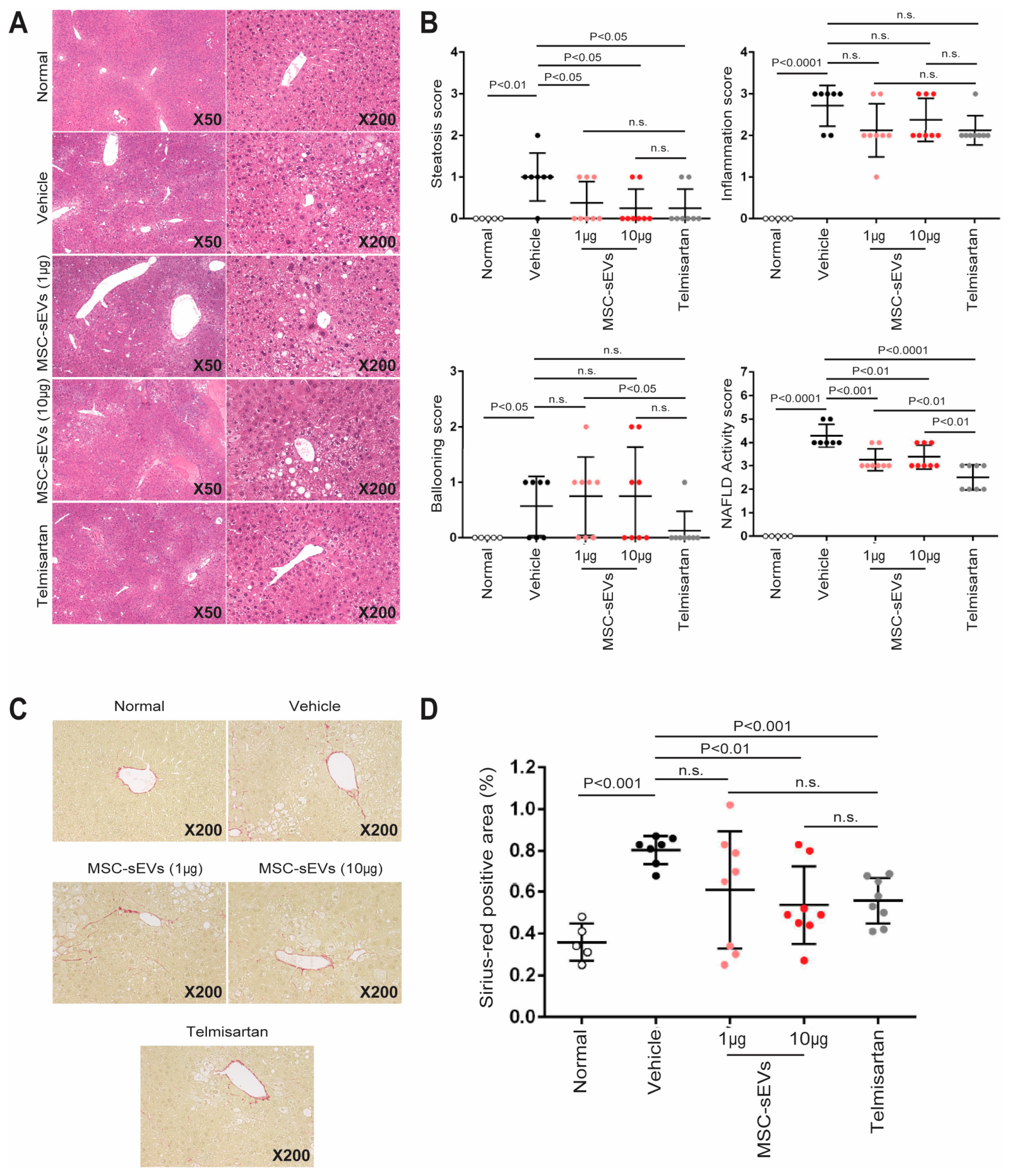 IJMS | Free Full-Text | MSC−sEV Treatment Polarizes