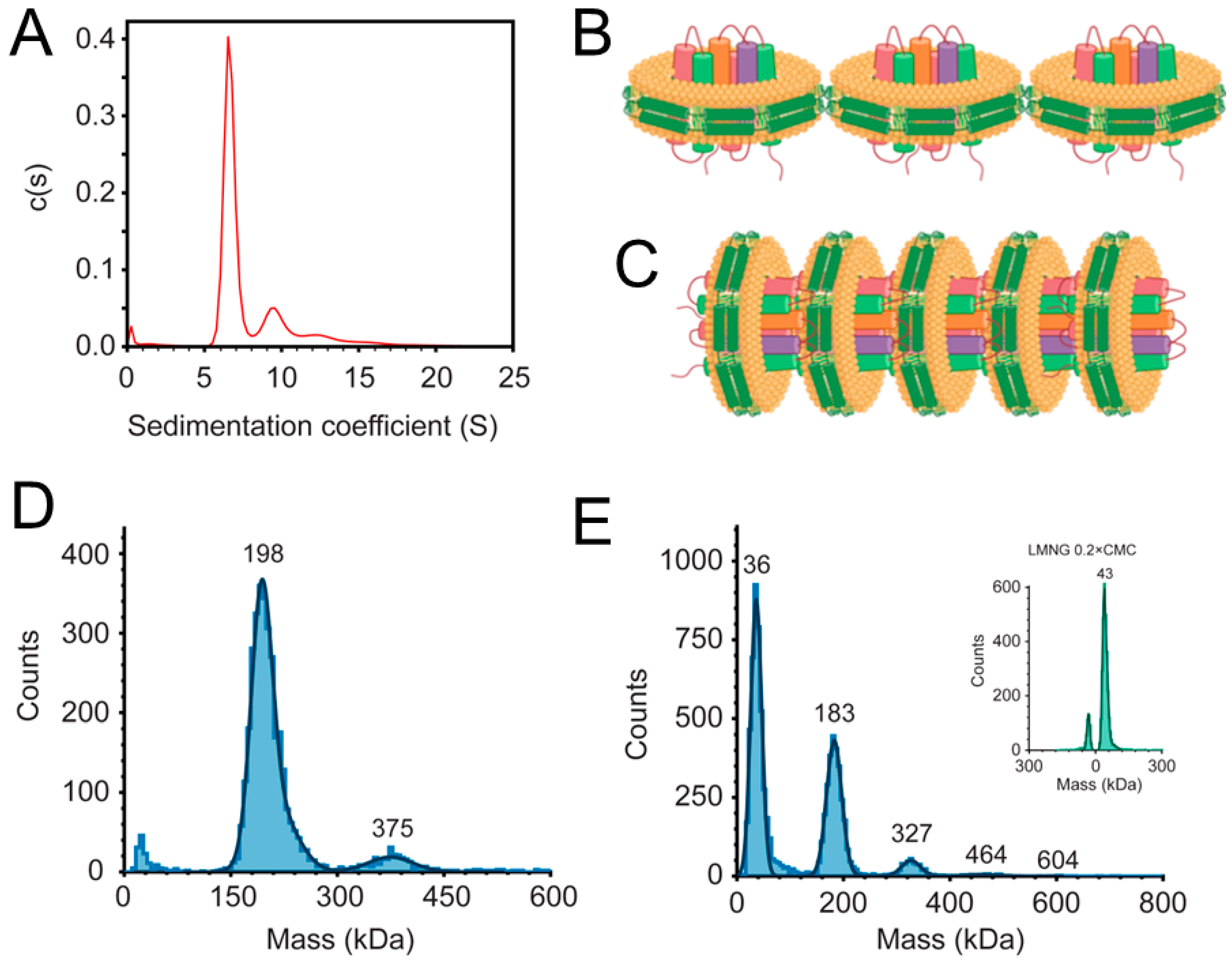 Ijms 24 08098 g002 Ijms 24 08098 g002