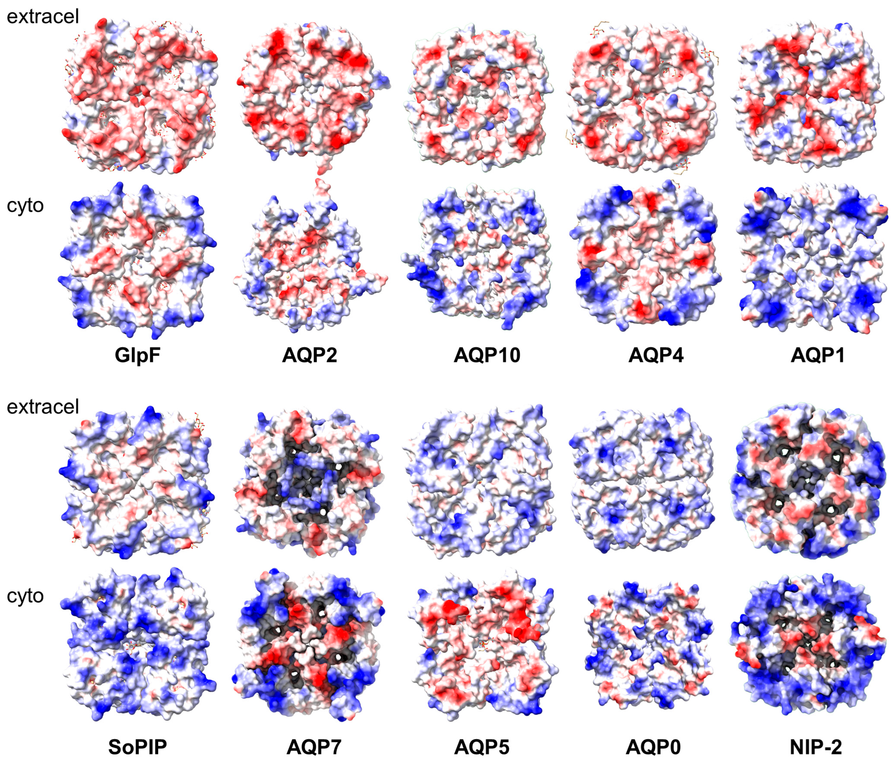 Ijms 24 08098 g005 Ijms 24 08098 g005