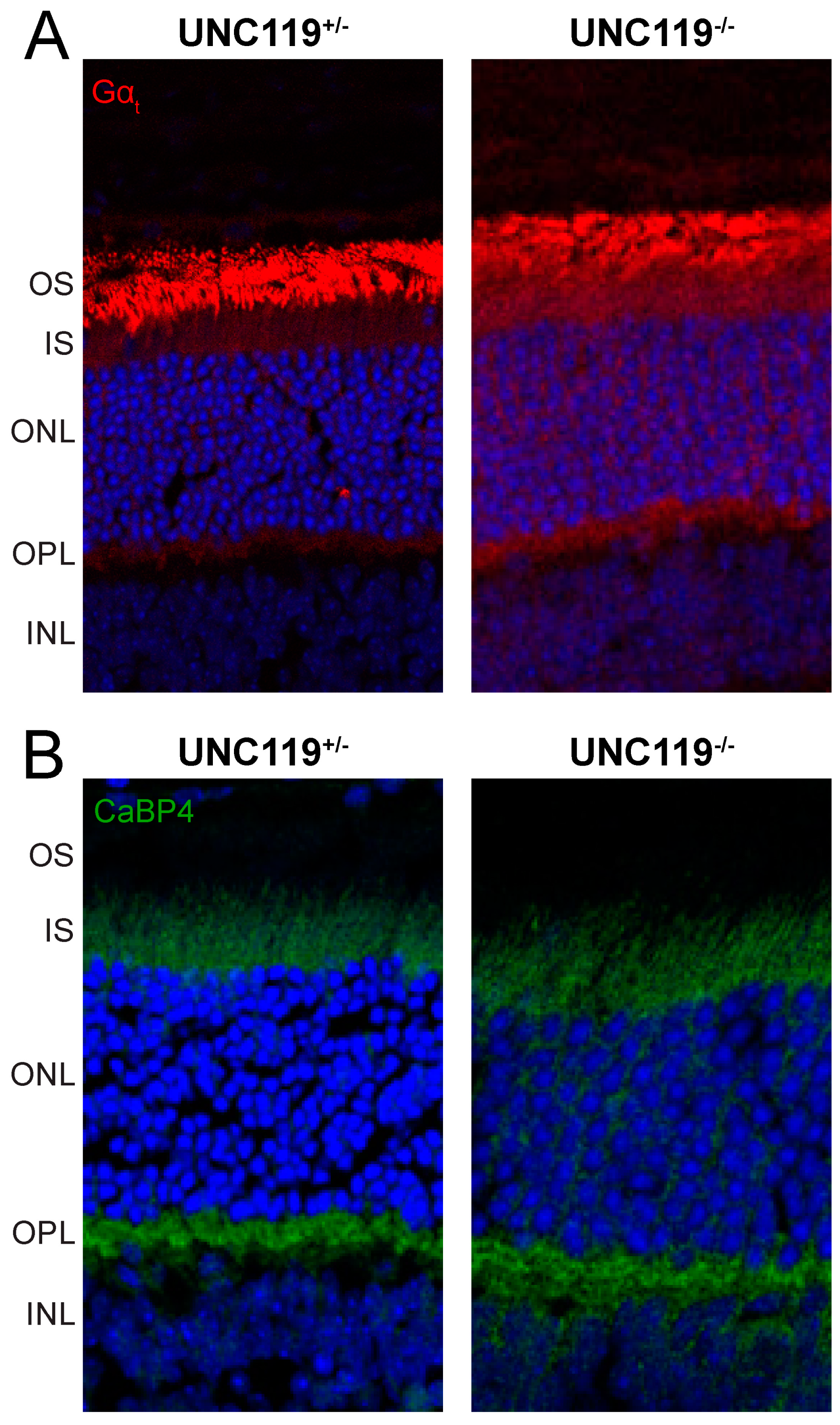 Ijms 24 08106 g002 Ijms 24 08106 g002