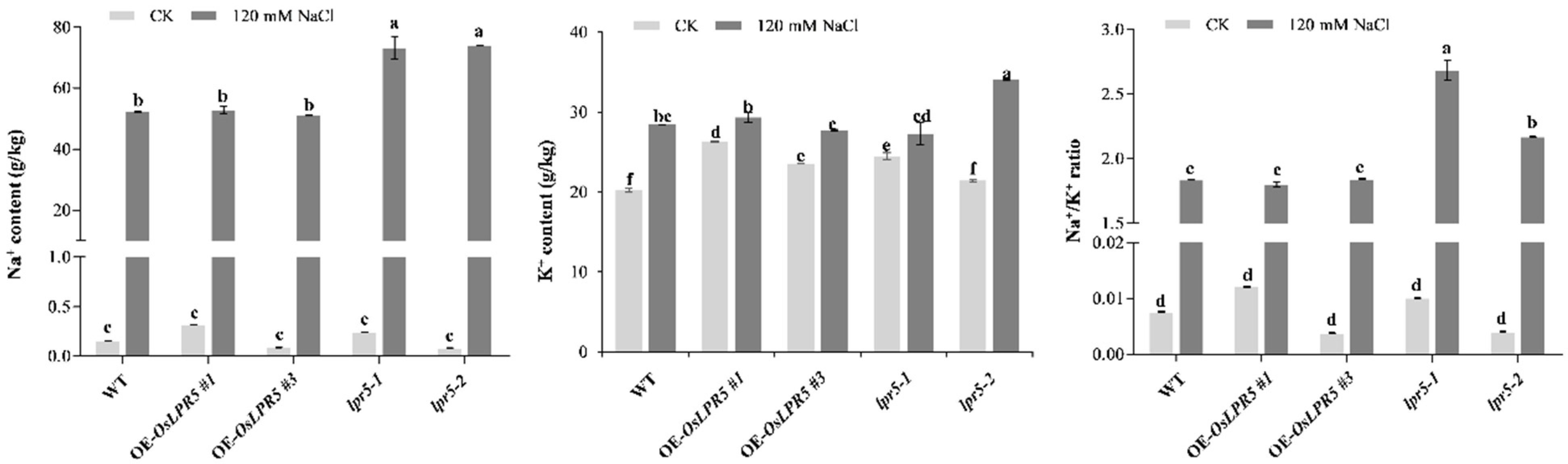Ijms 24 08115 g005 Ijms 24 08115 g005