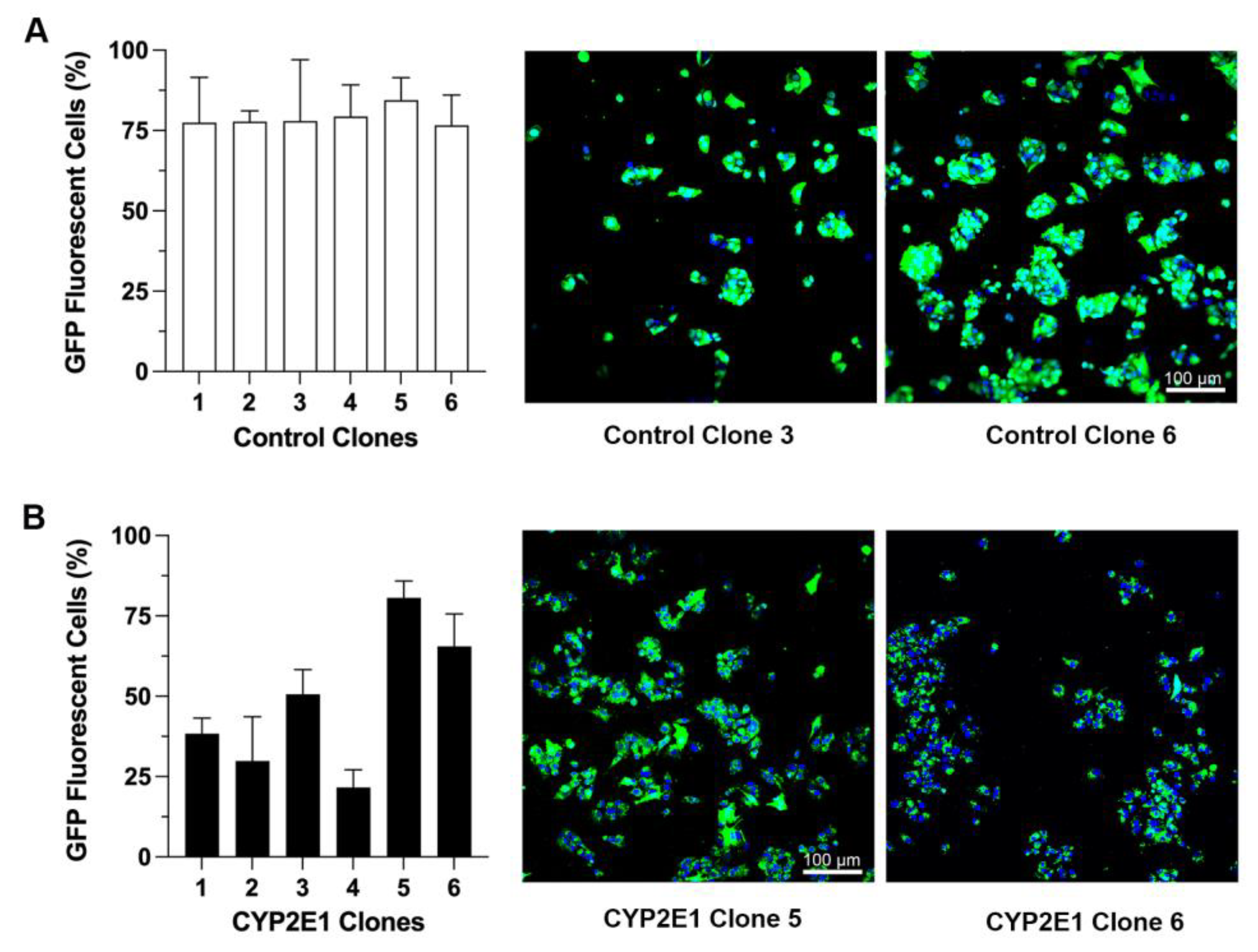 Ijms 24 08121 g001 Ijms 24 08121 g001