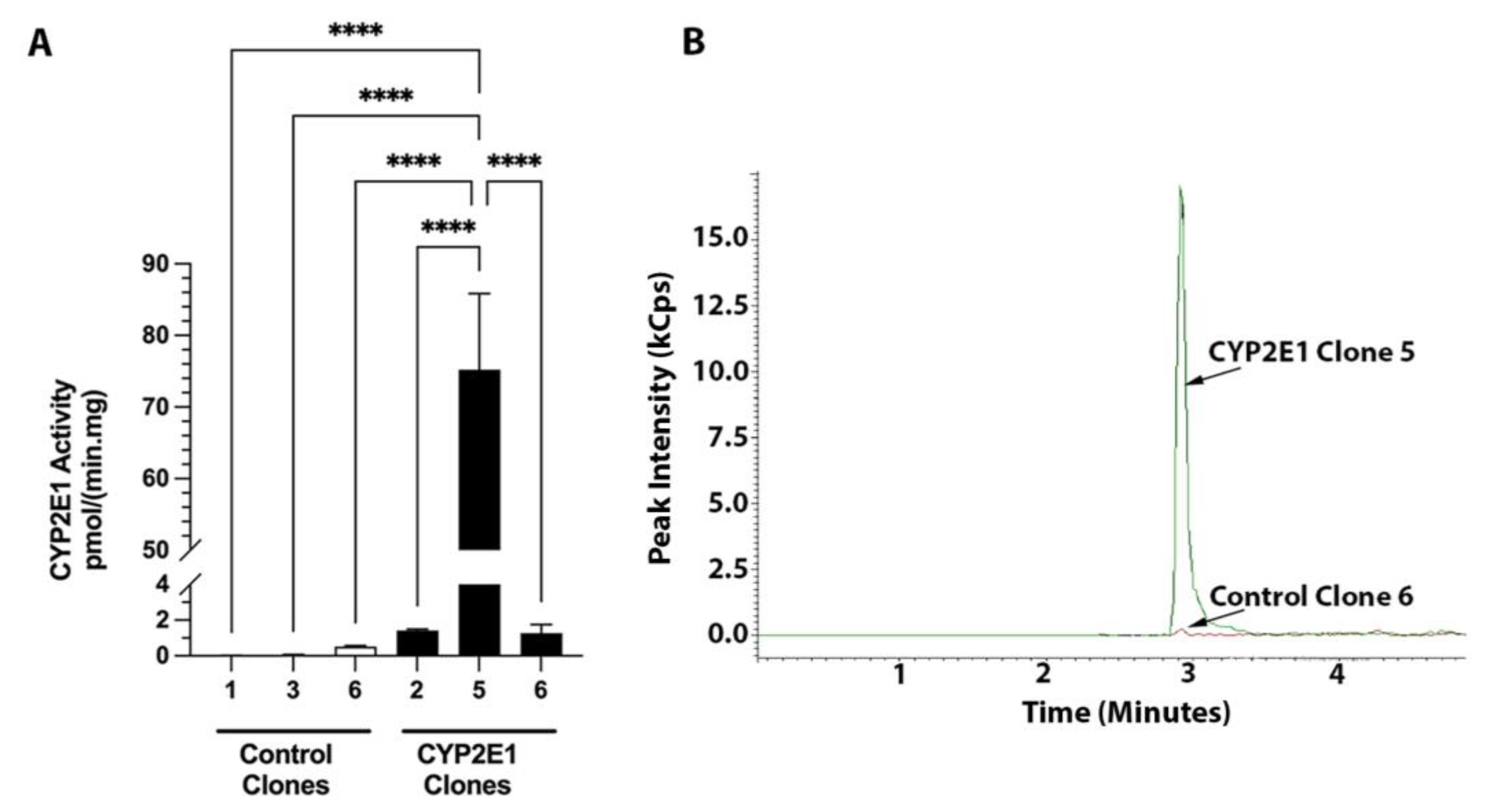 Ijms 24 08121 g005 Ijms 24 08121 g005
