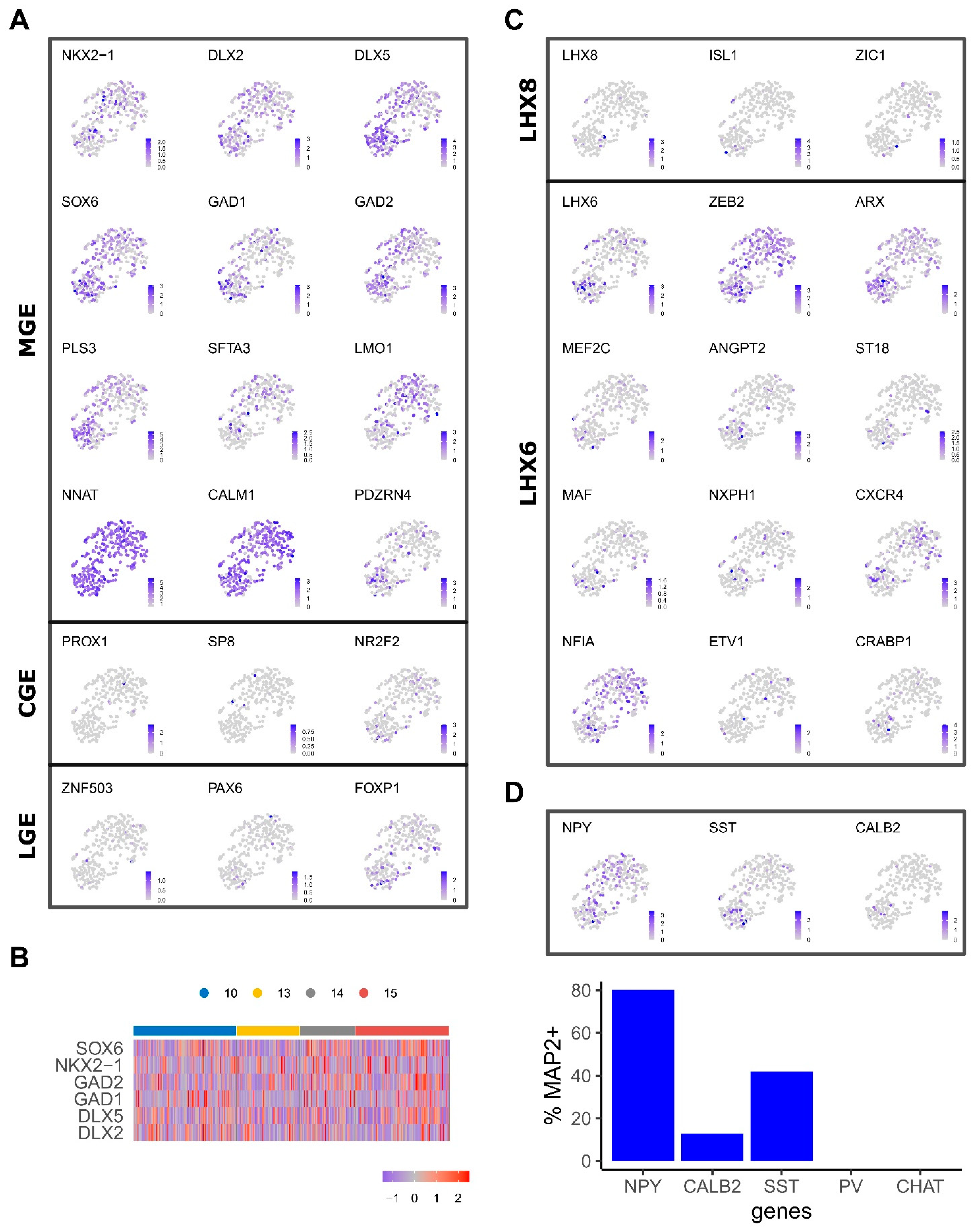Ijms 24 08122 g002 Ijms 24 08122 g002