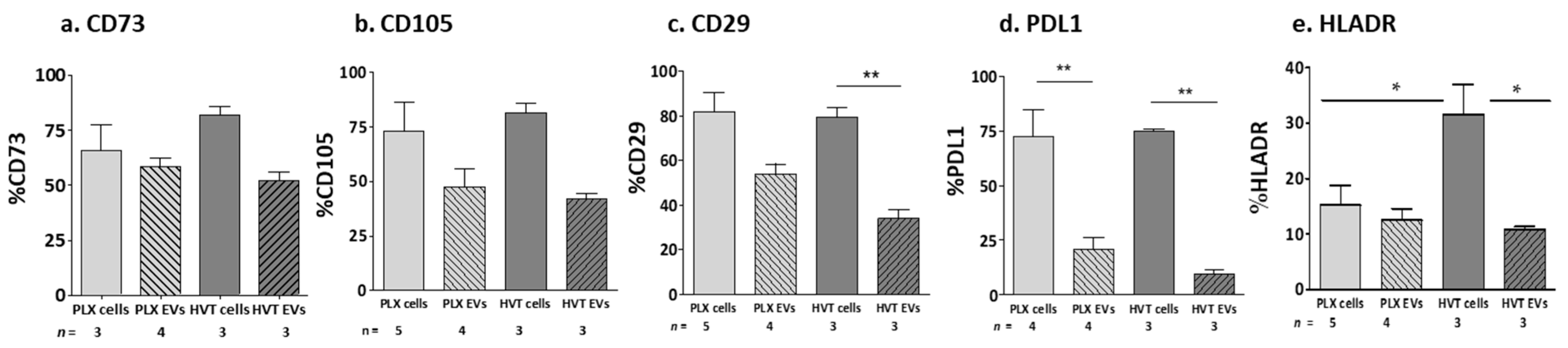 Ijms 24 08126 g004 Ijms 24 08126 g004