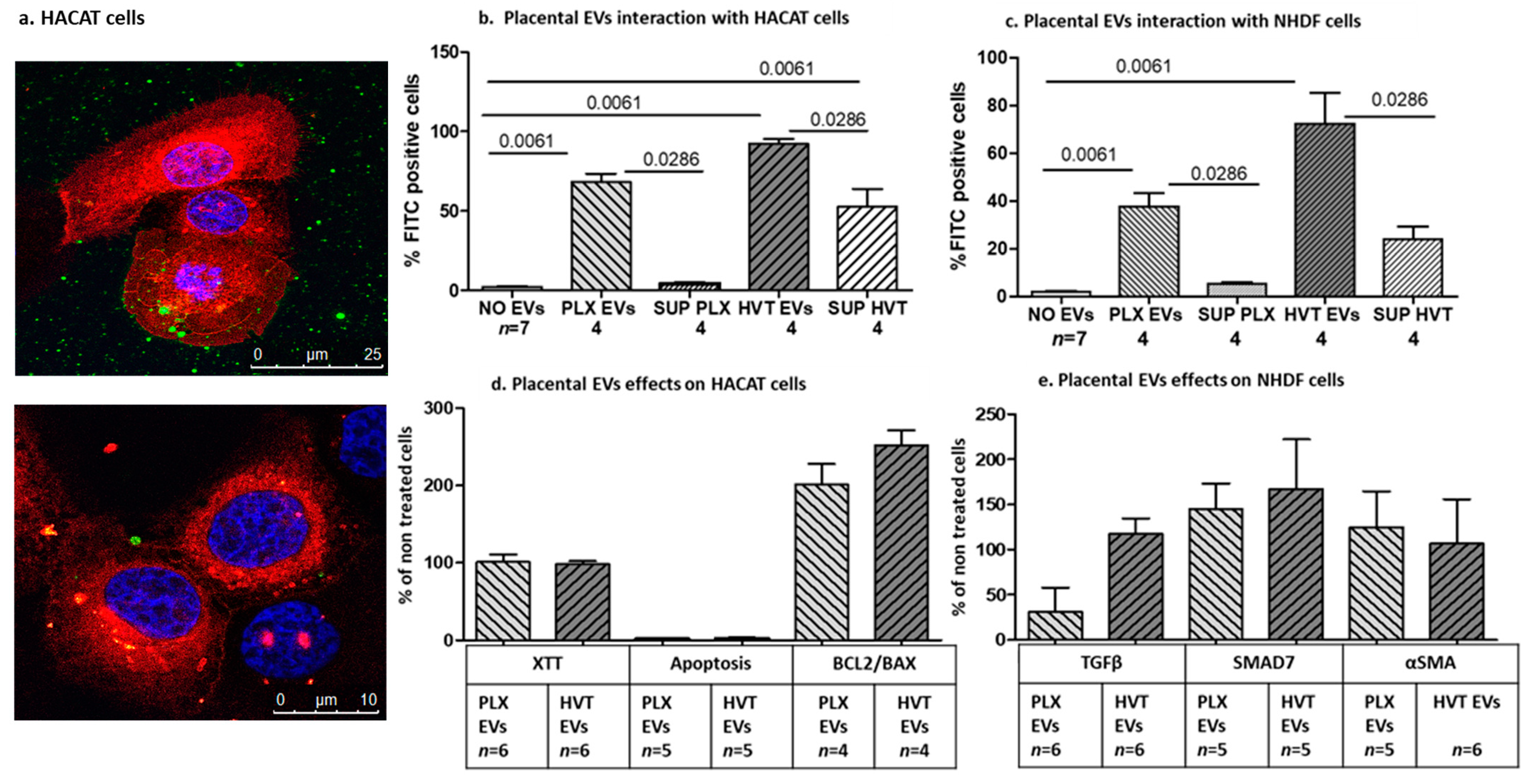 Ijms 24 08126 g005 Ijms 24 08126 g005