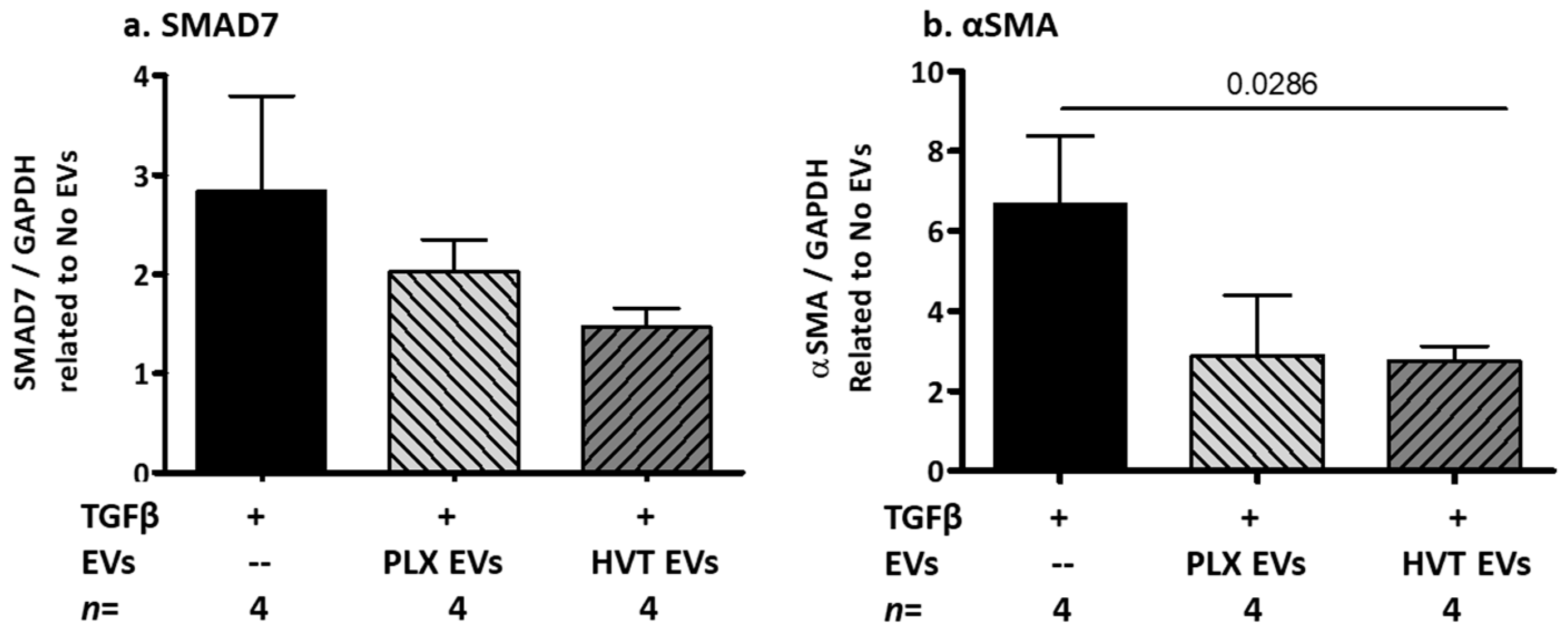 Ijms 24 08126 g008 Ijms 24 08126 g008