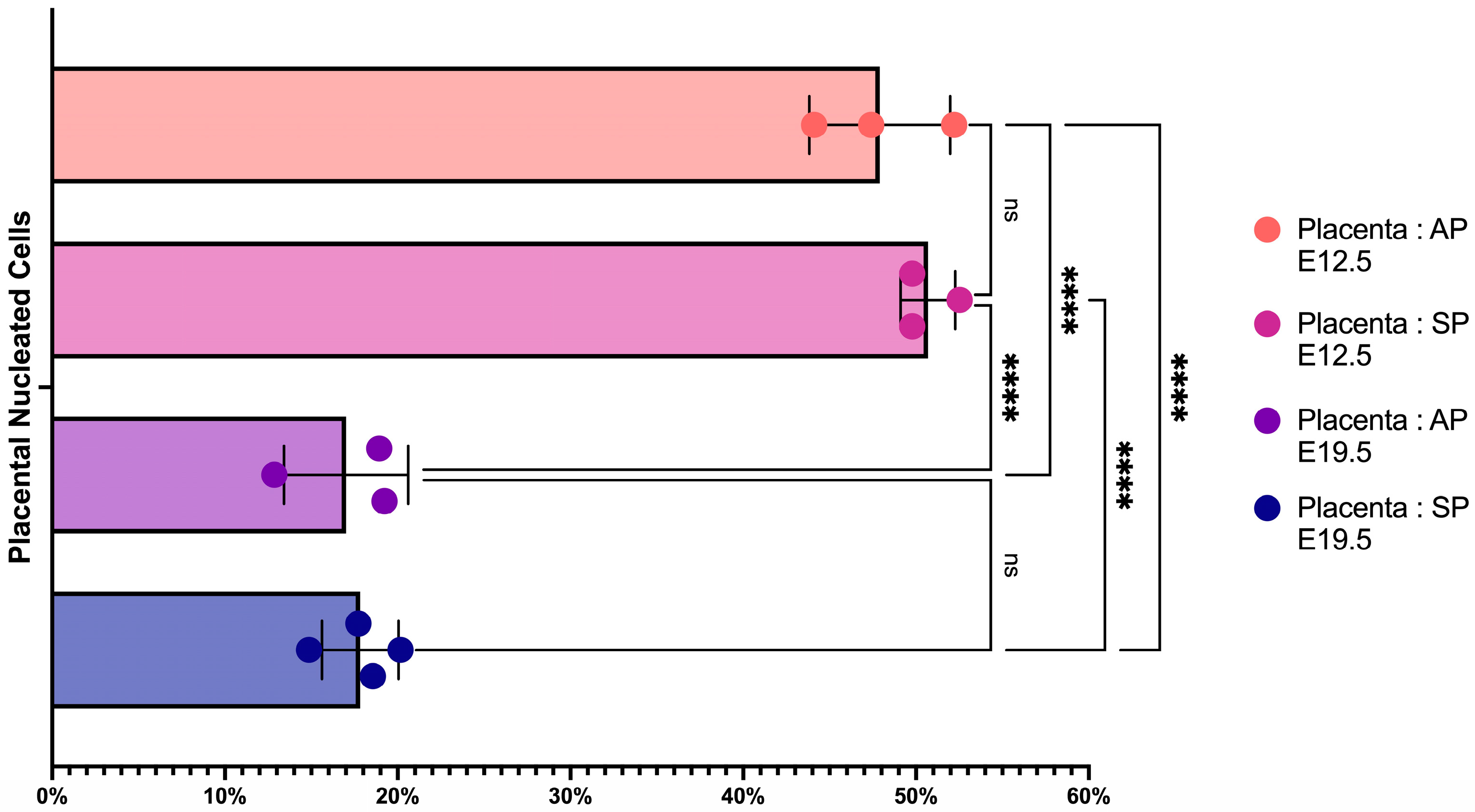 Ijms 24 08130 g002 Ijms 24 08130 g002