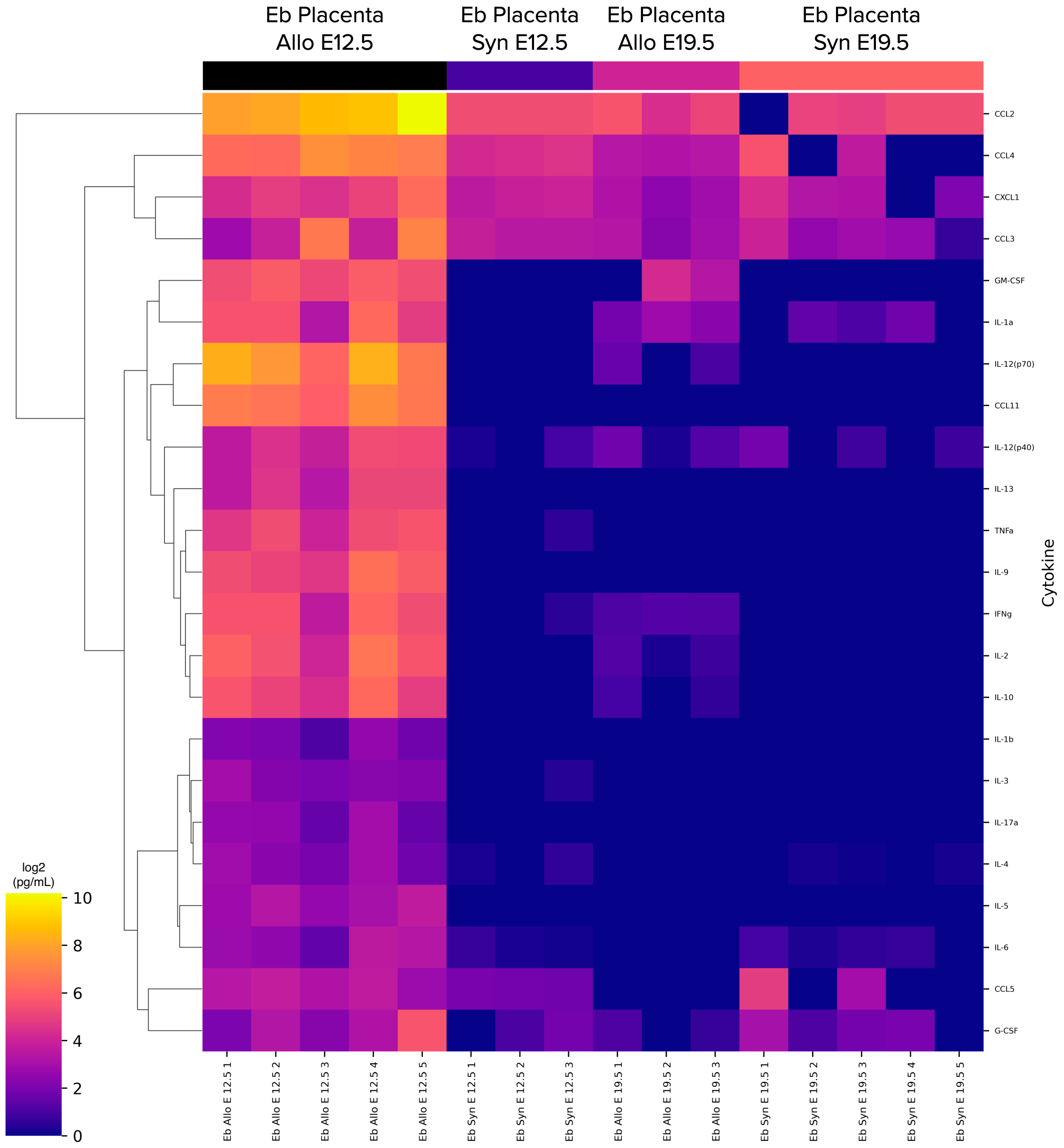 Ijms 24 08130 g005 Ijms 24 08130 g005