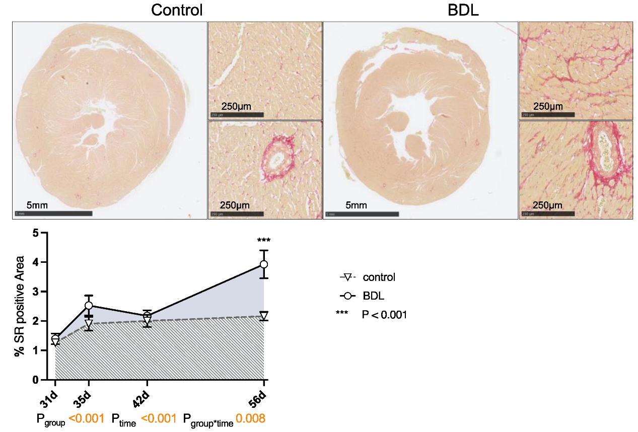 Ijms 24 08147 g004 Ijms 24 08147 g004