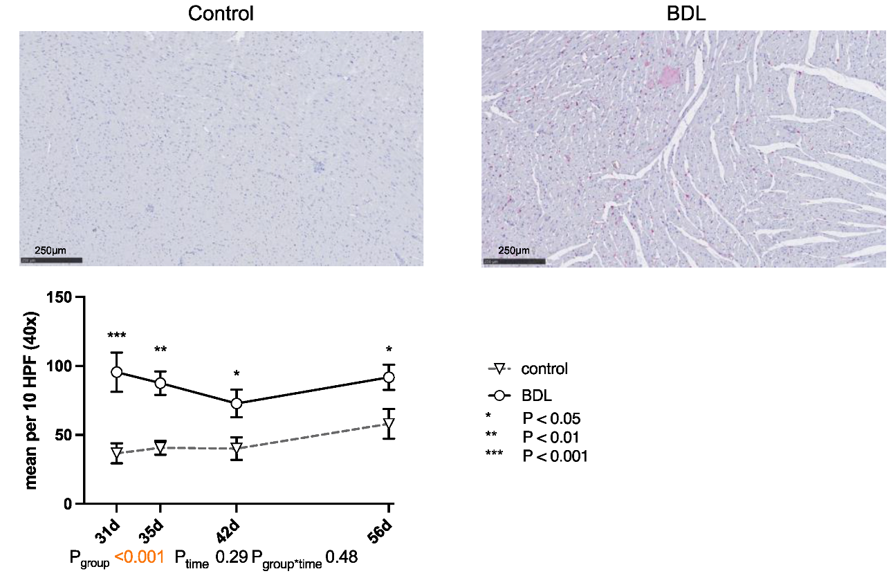 Ijms 24 08147 g005 Ijms 24 08147 g005