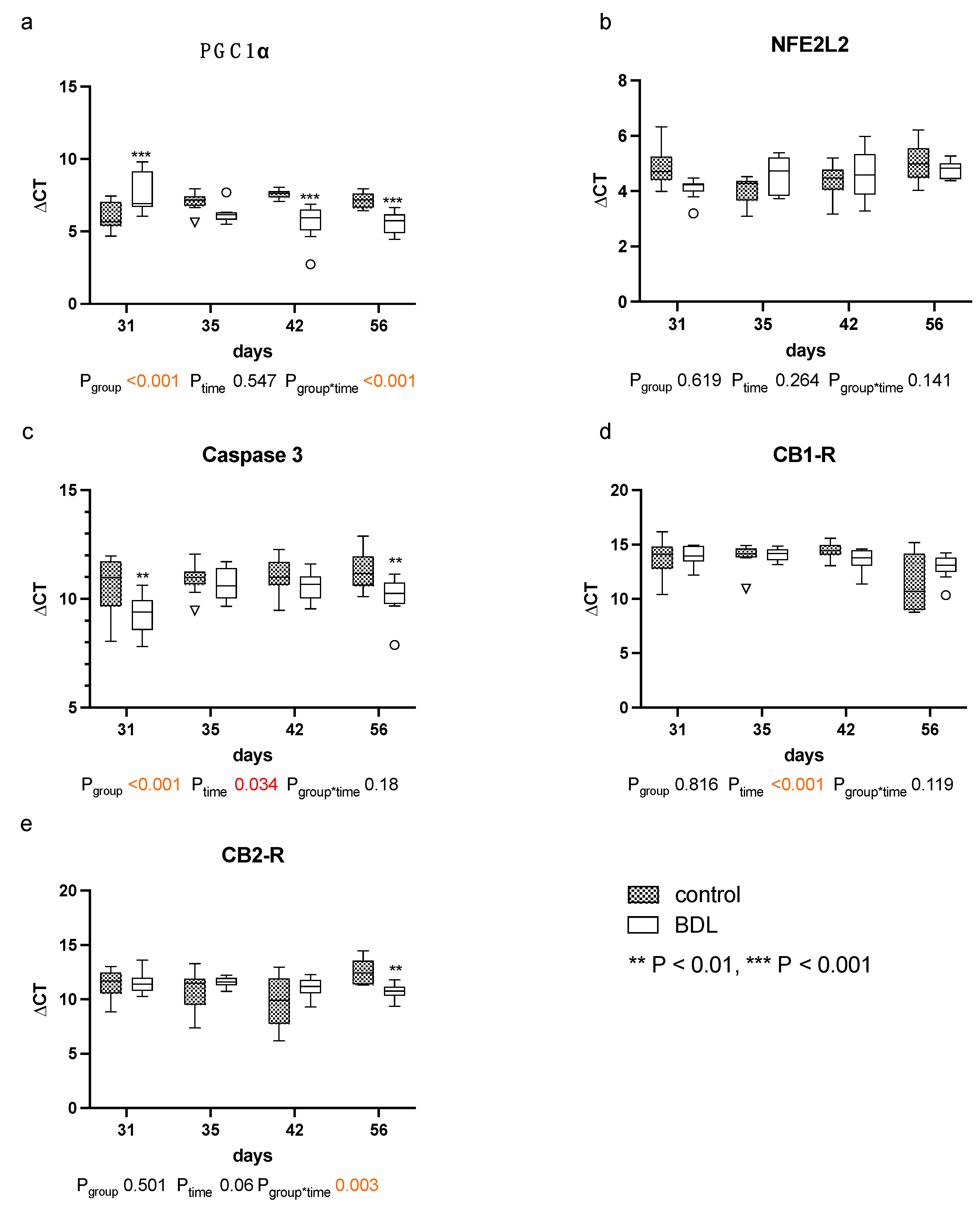 Ijms 24 08147 g007 Ijms 24 08147 g007