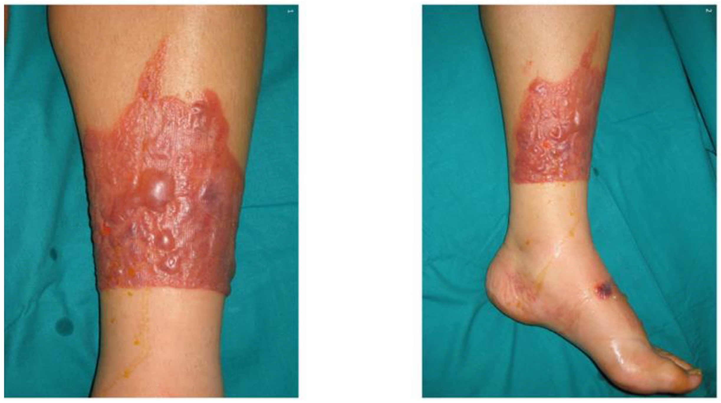 Ijms 24 08159 g002 Ijms 24 08159 g002