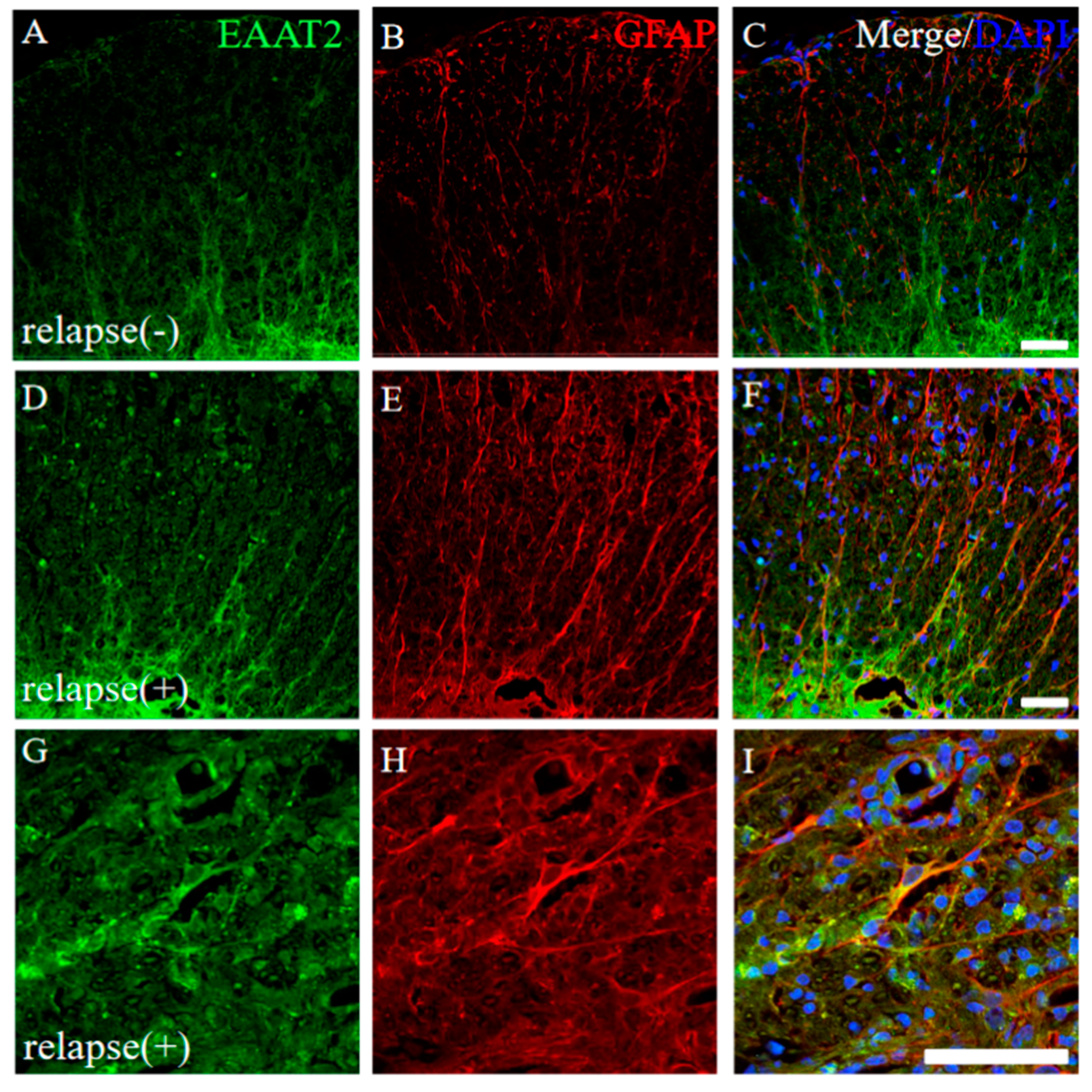 Ijms 24 08160 g008 Ijms 24 08160 g008