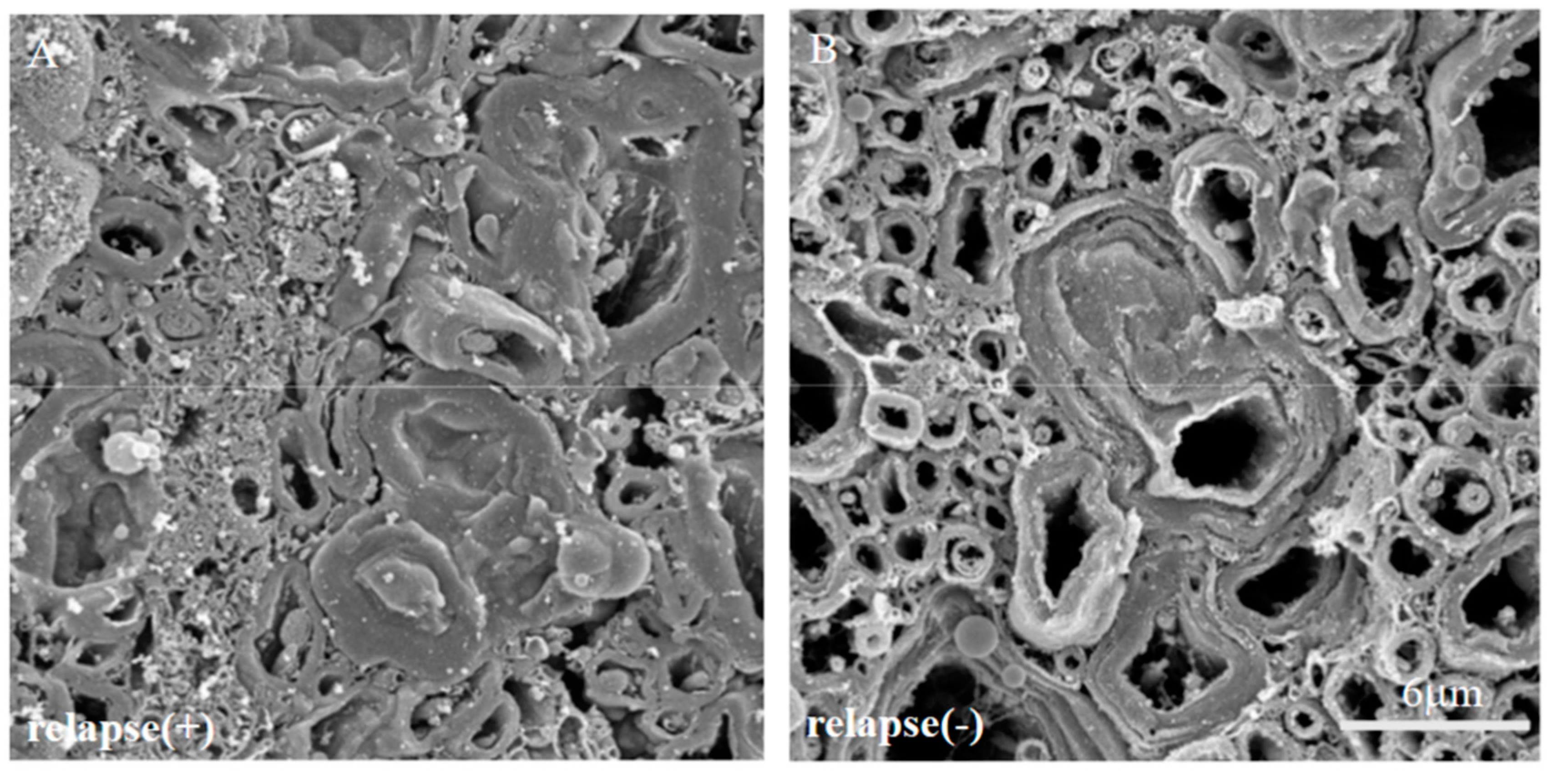 Ijms 24 08160 g013 Ijms 24 08160 g013