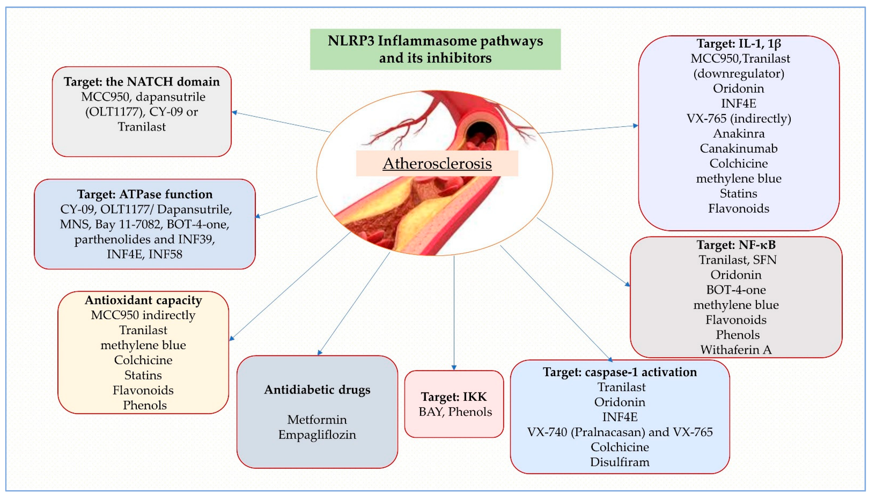 Ijms 24 08162 g003 Ijms 24 08162 g003