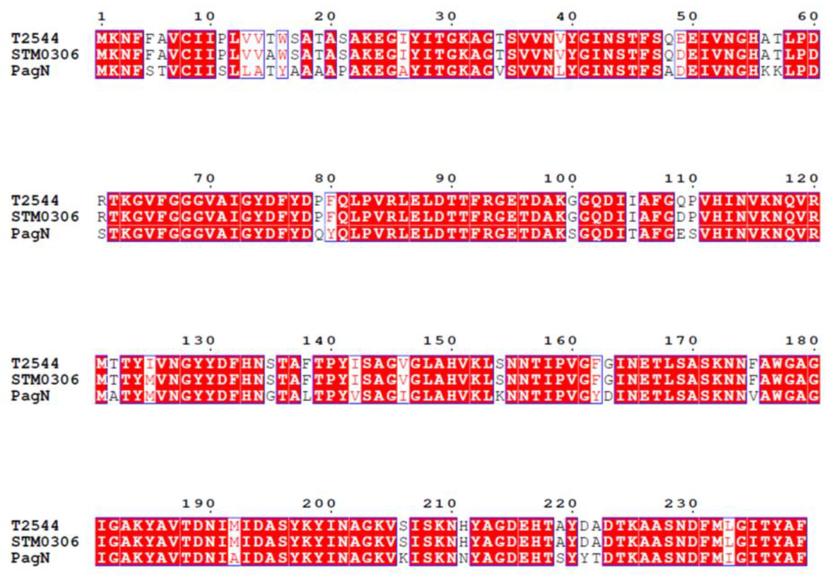 Ijms 24 08170 g001 Ijms 24 08170 g001