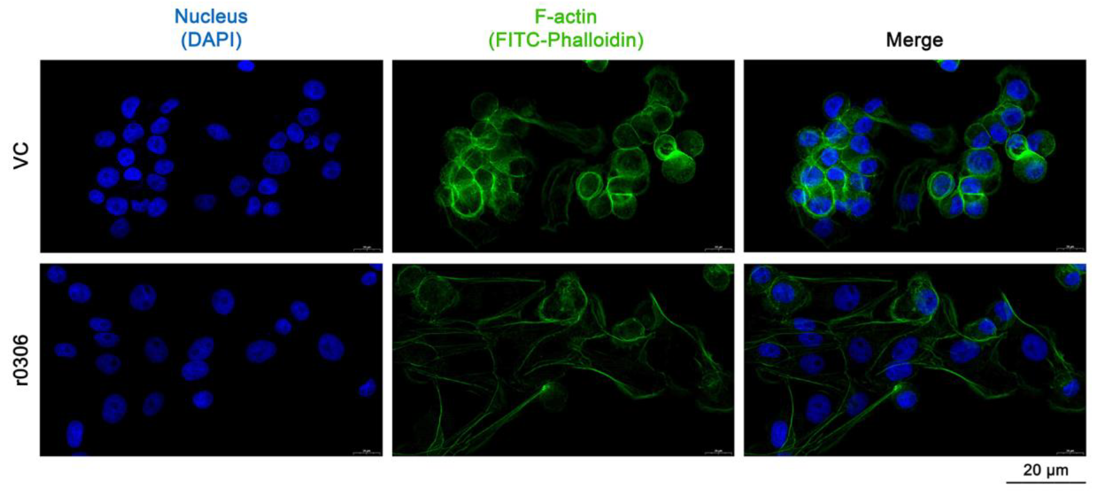 Ijms 24 08170 g005 Ijms 24 08170 g005