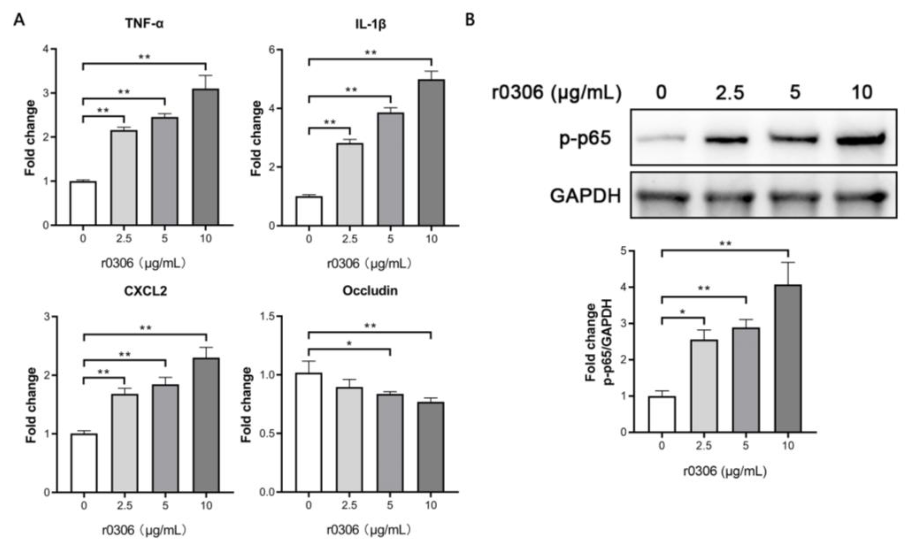 Ijms 24 08170 g006 Ijms 24 08170 g006
