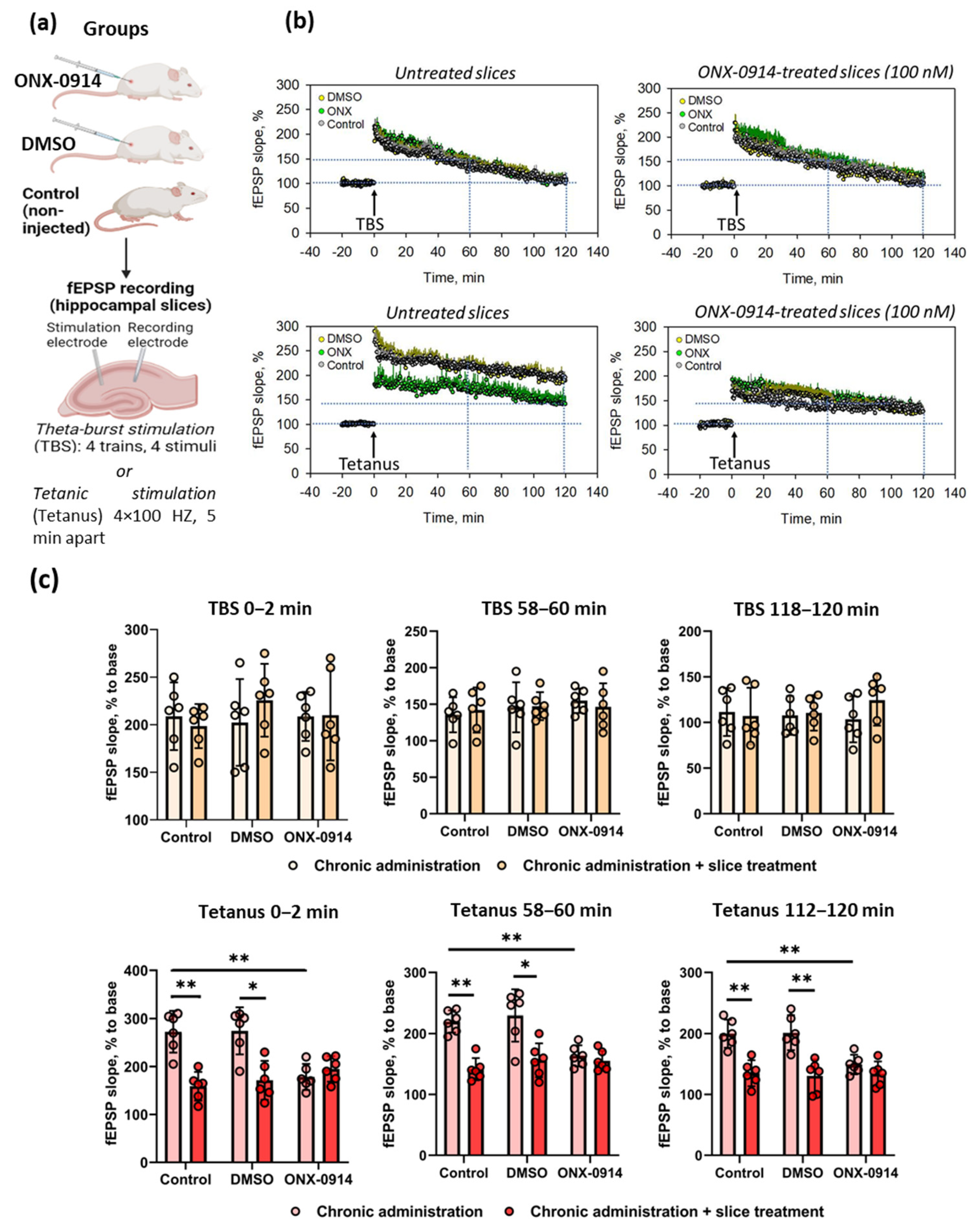 Ijms 24 08172 g001 Ijms 24 08172 g001