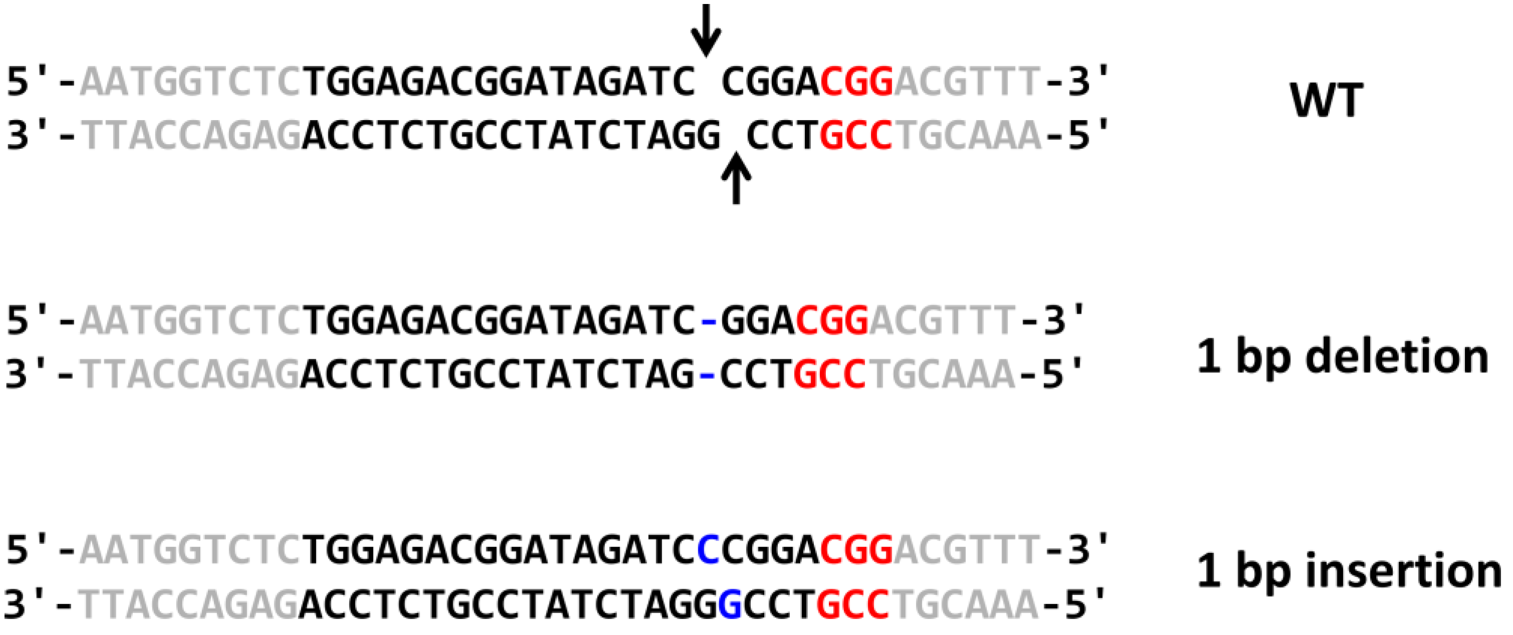 Ijms 24 08173 g003 Ijms 24 08173 g003