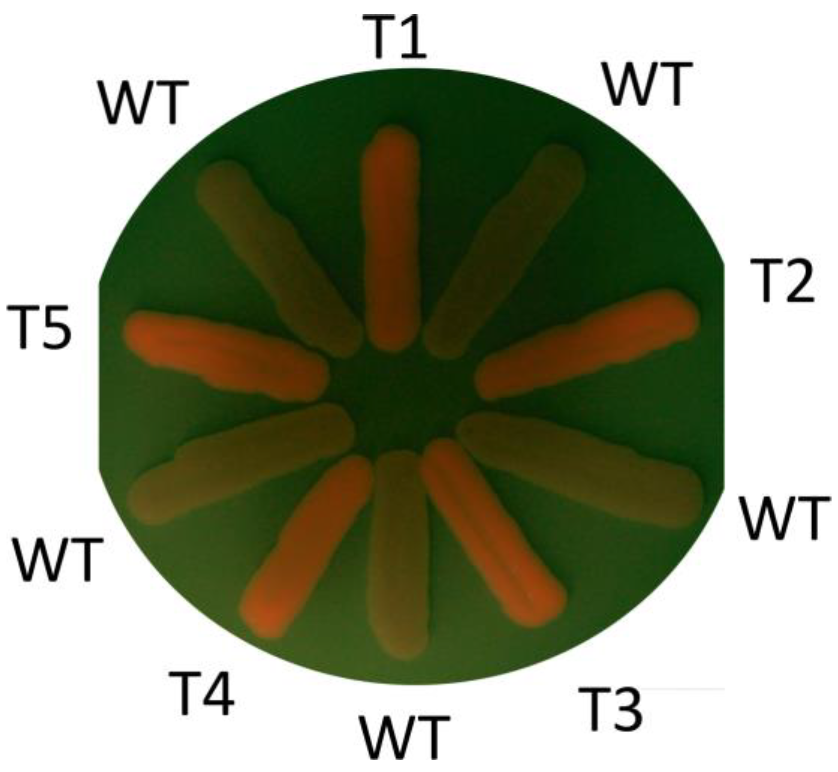 Ijms 24 08173 g005 Ijms 24 08173 g005