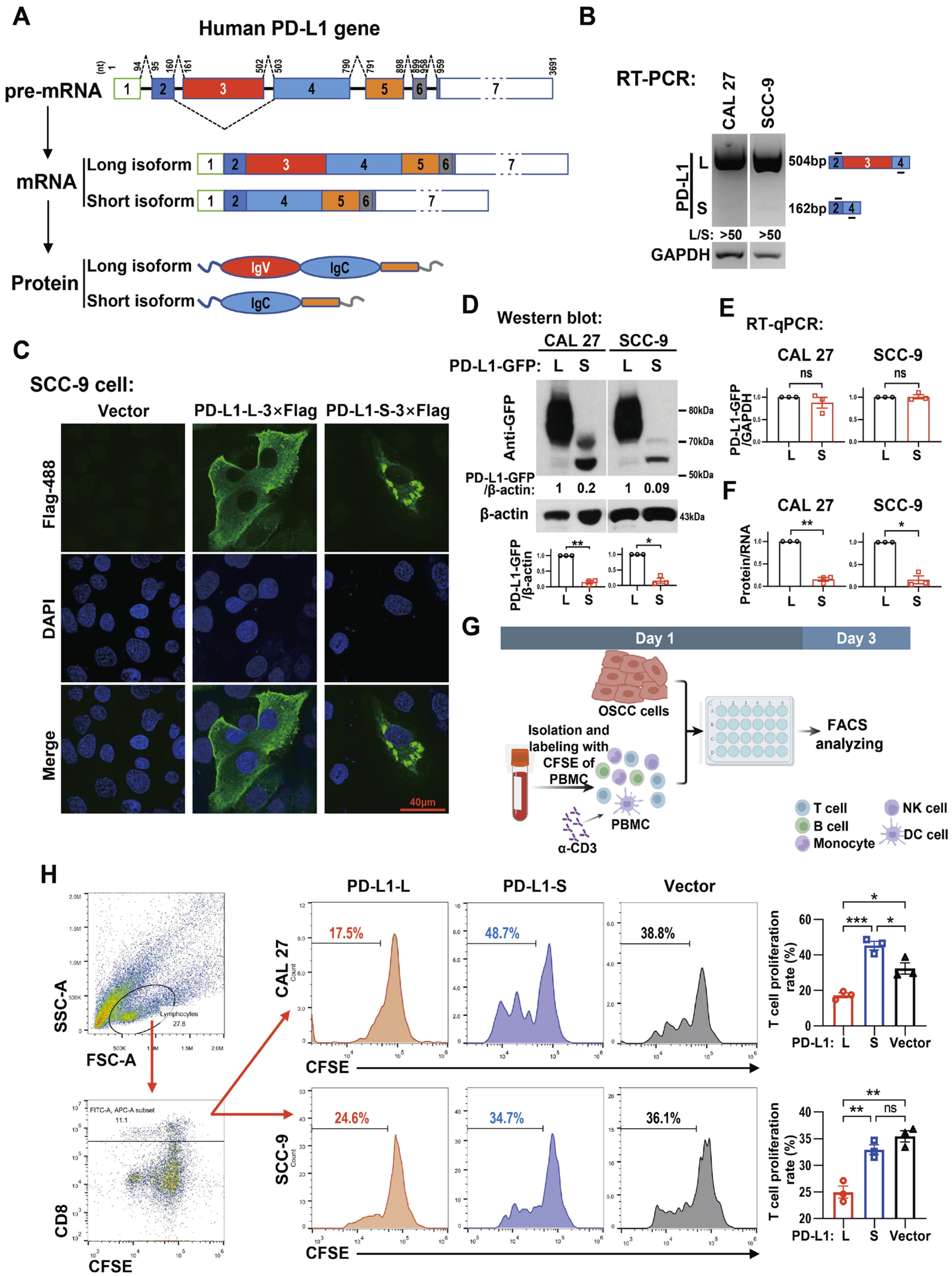 Ijms 24 08193 g001 Ijms 24 08193 g001