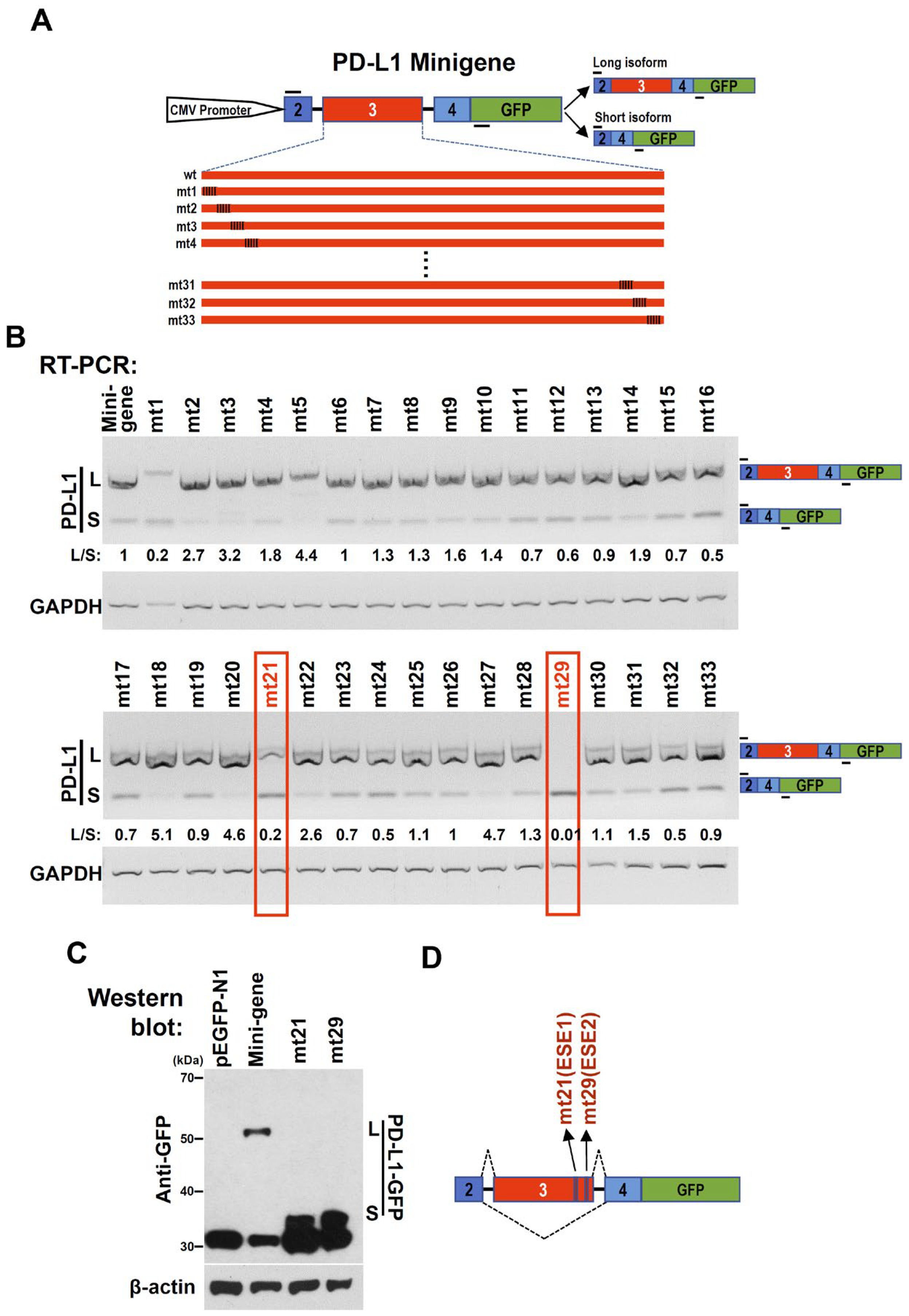 Ijms 24 08193 g002 Ijms 24 08193 g002