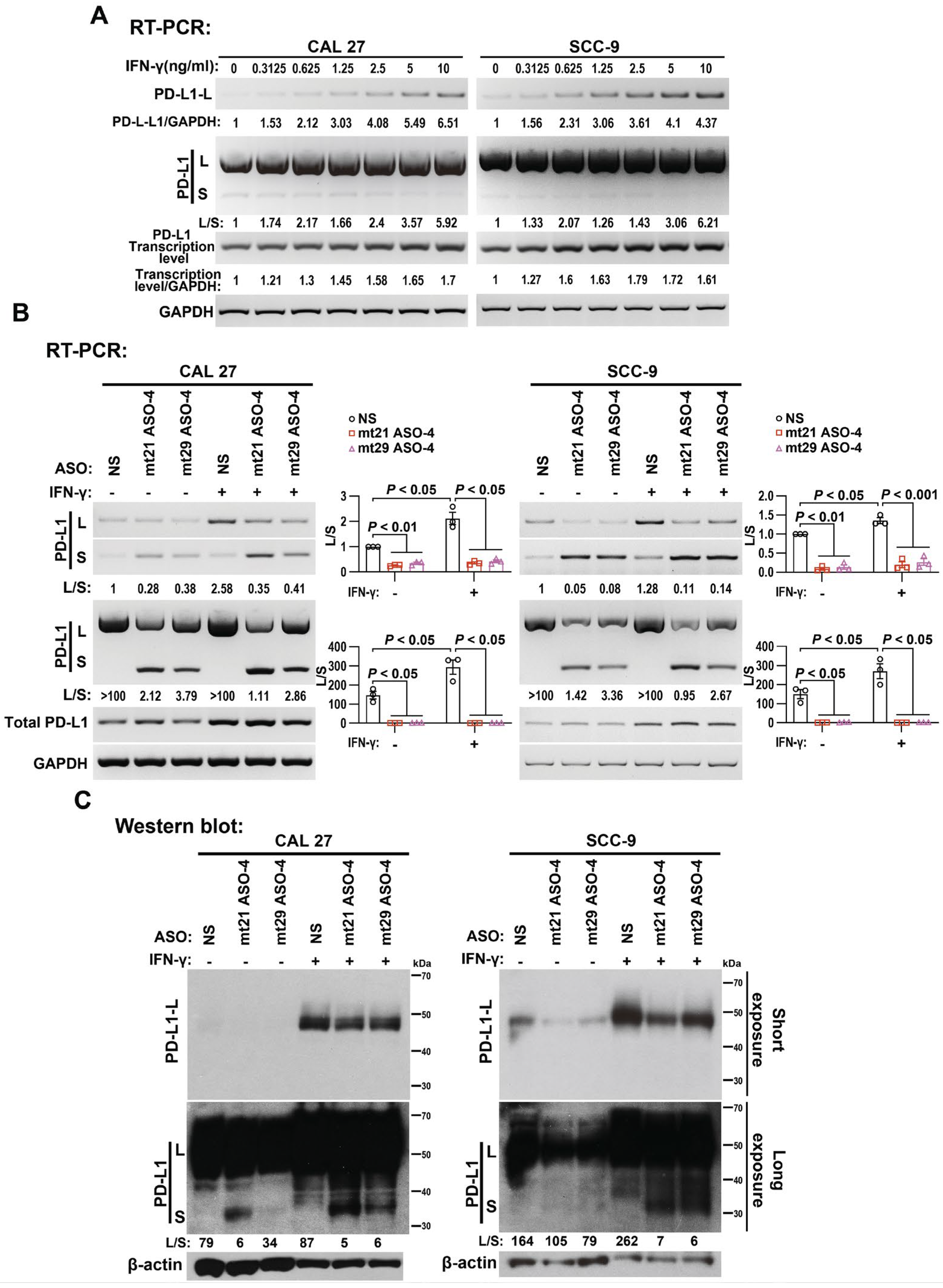Ijms 24 08193 g005 Ijms 24 08193 g005