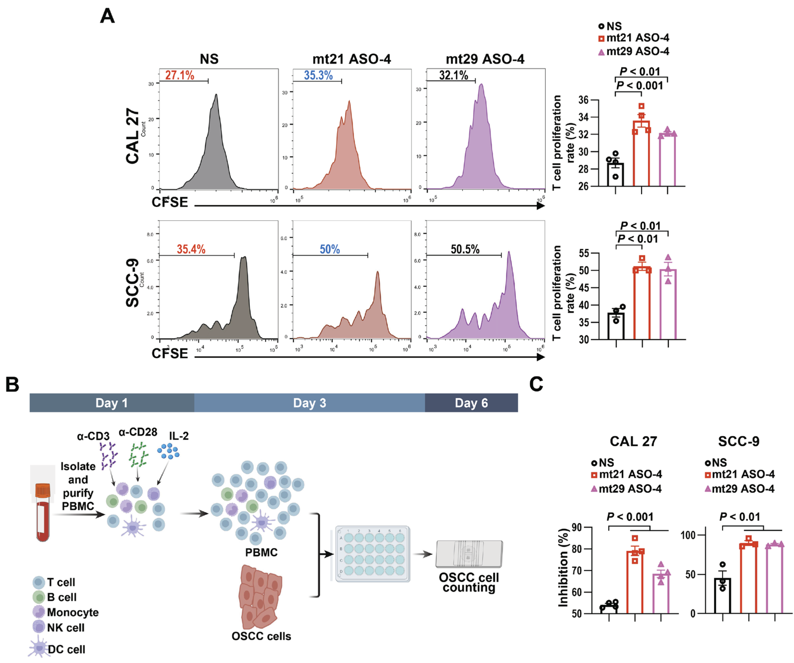 Ijms 24 08193 g007 Ijms 24 08193 g007