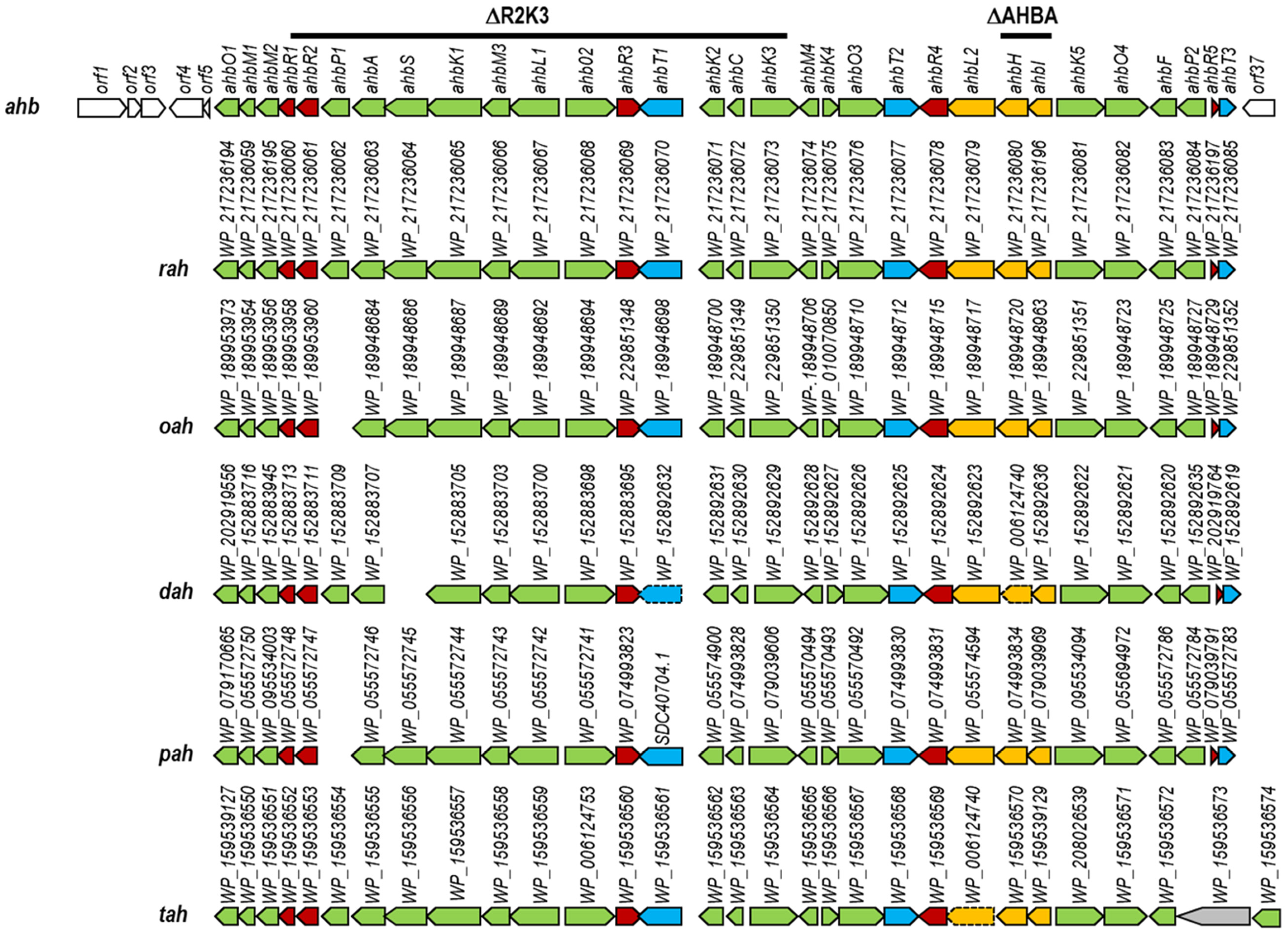 Ijms 24 08197 g001 Ijms 24 08197 g001