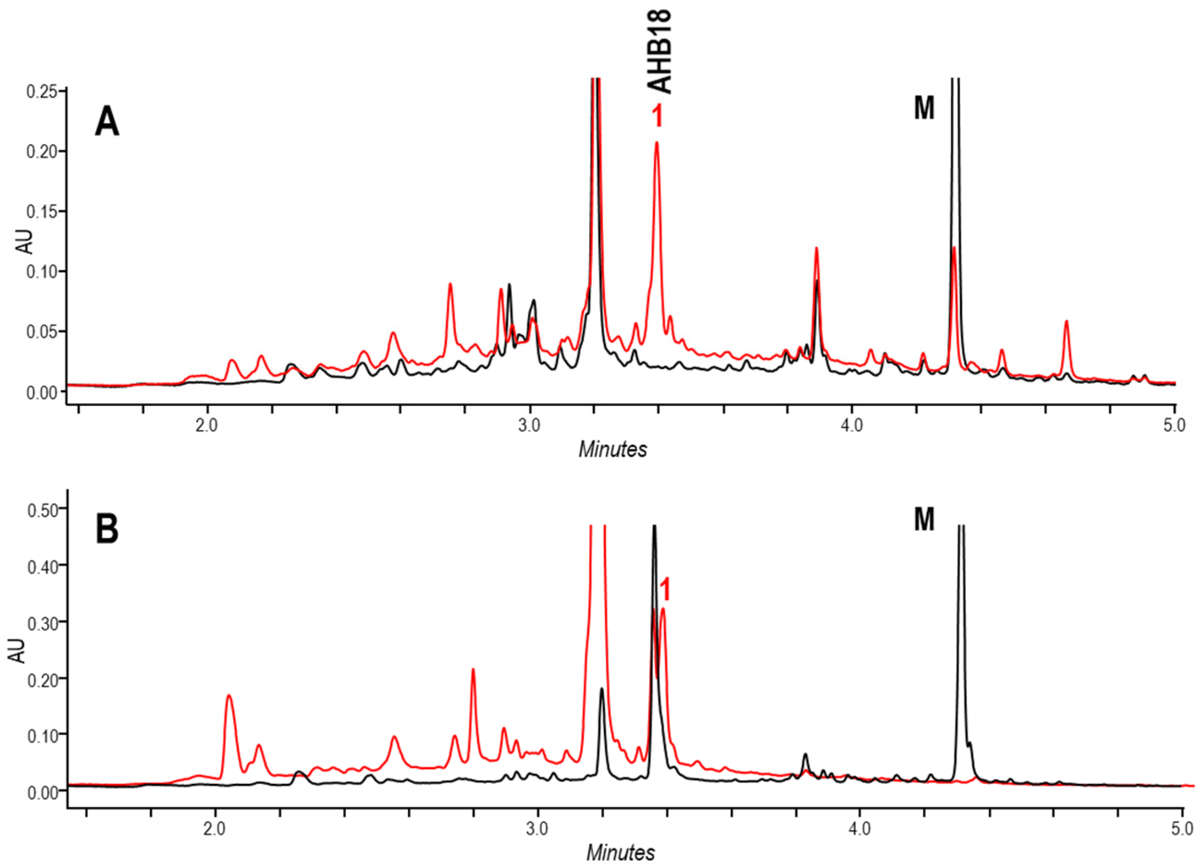 Ijms 24 08197 g003 Ijms 24 08197 g003