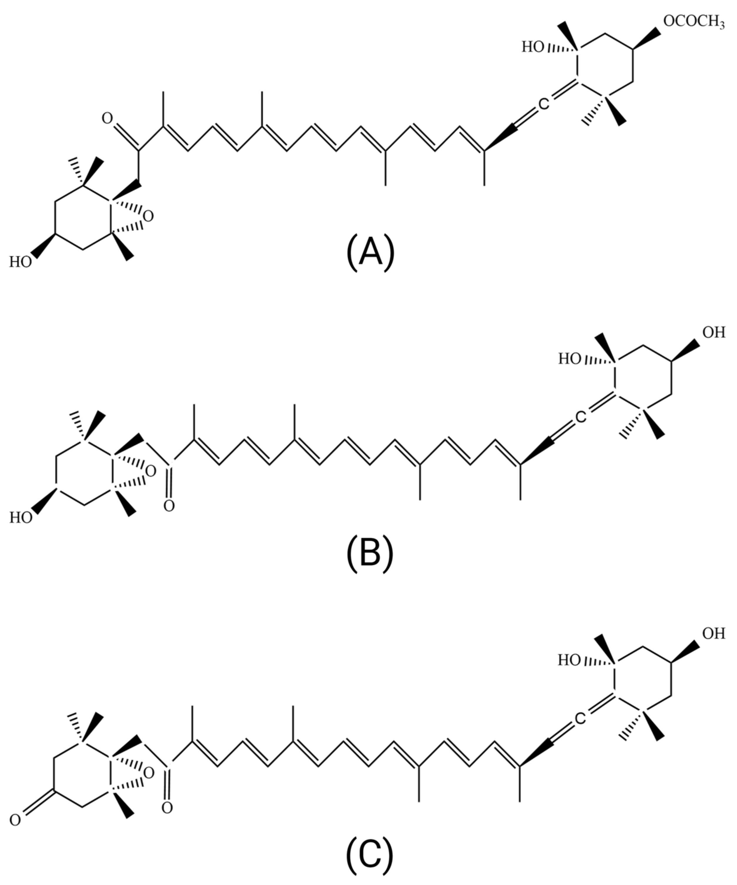 Ijms 24 08203 g001 Ijms 24 08203 g001